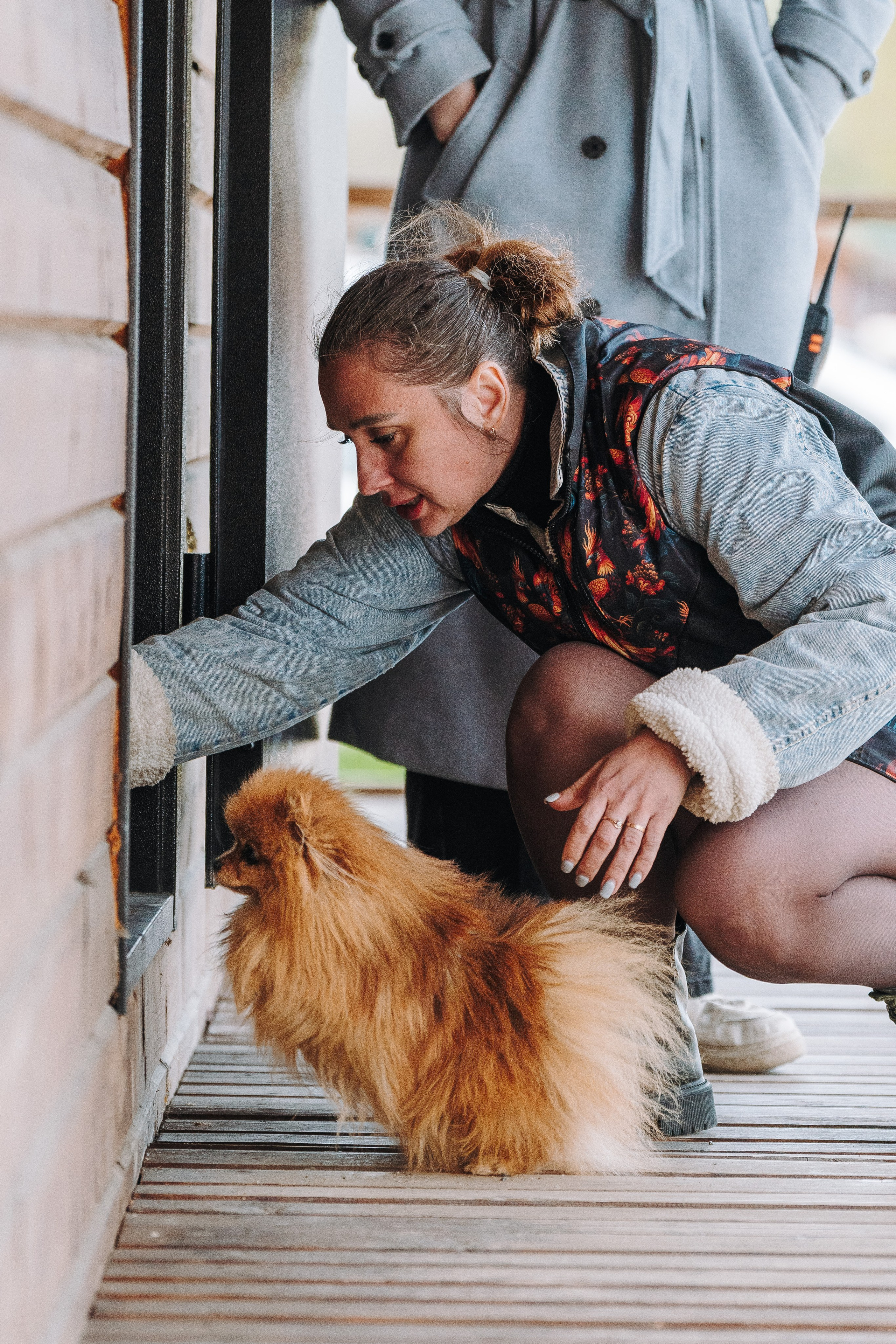 Соревнования по ноузворку в Лосево. Фотограф анималист в Спб недорого Олеся Майорова