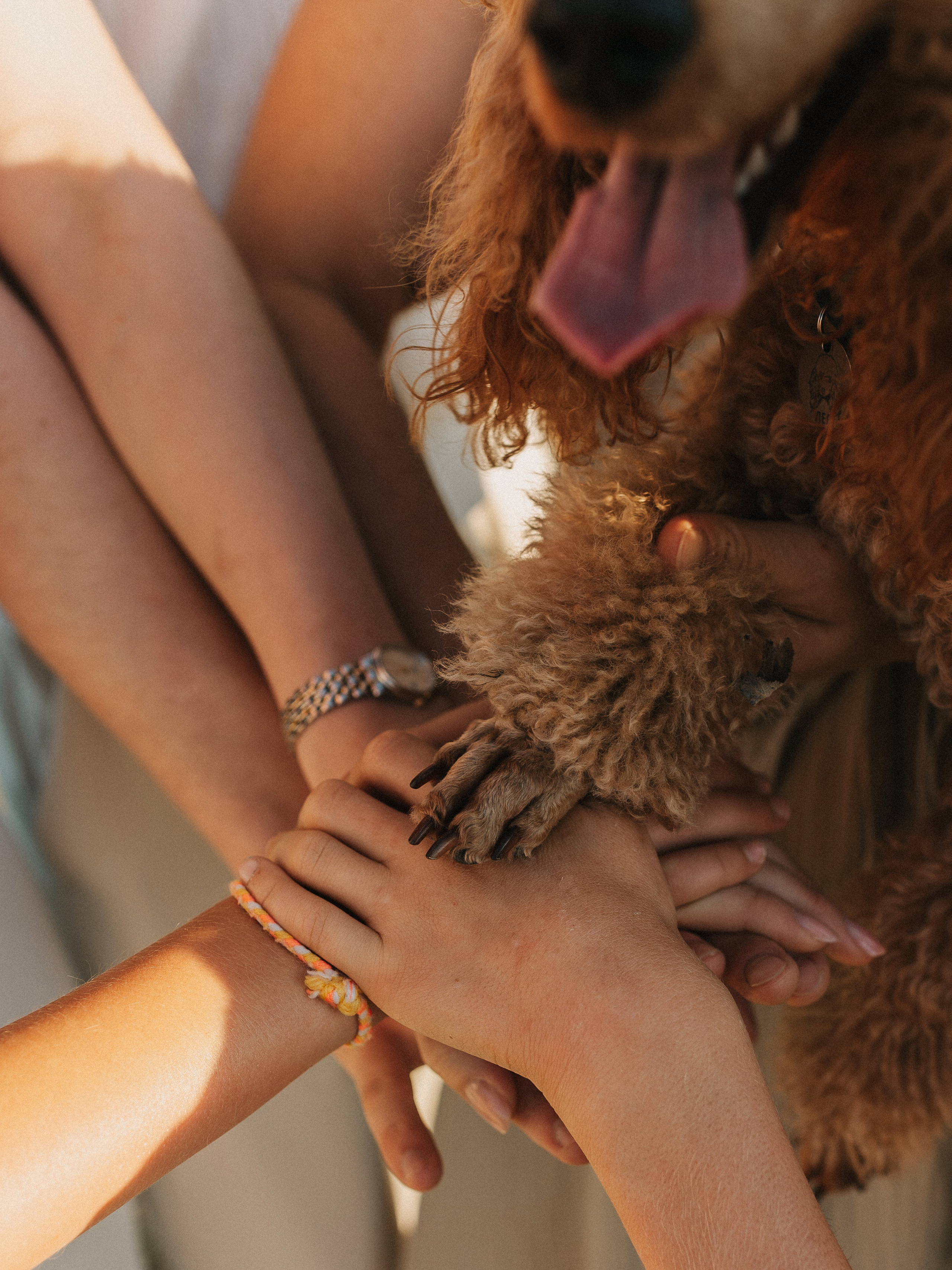 Все вместе!. Свадебный и семейный фотограф в Самаре Надежда Раскина