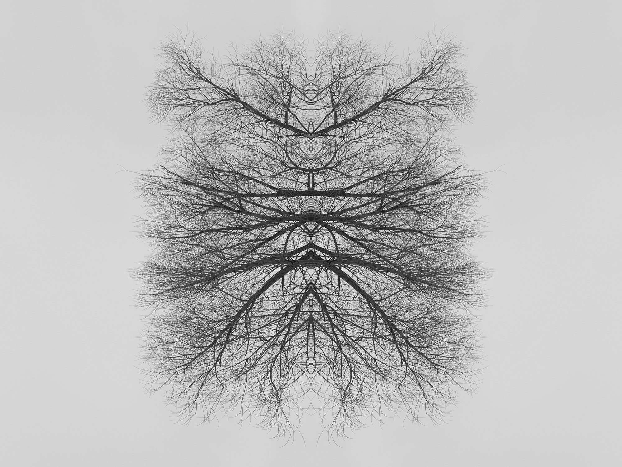 Острова. Анна Порошина — междисциплинарный художник