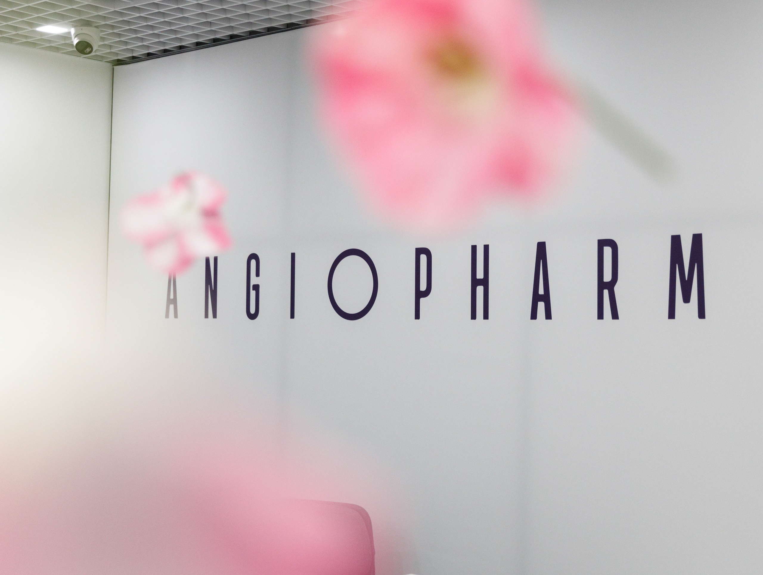 ANGIOPHARM cosmetics. Клиентский день. Репортажный фотограф в Новосибирске Алена Помазунова