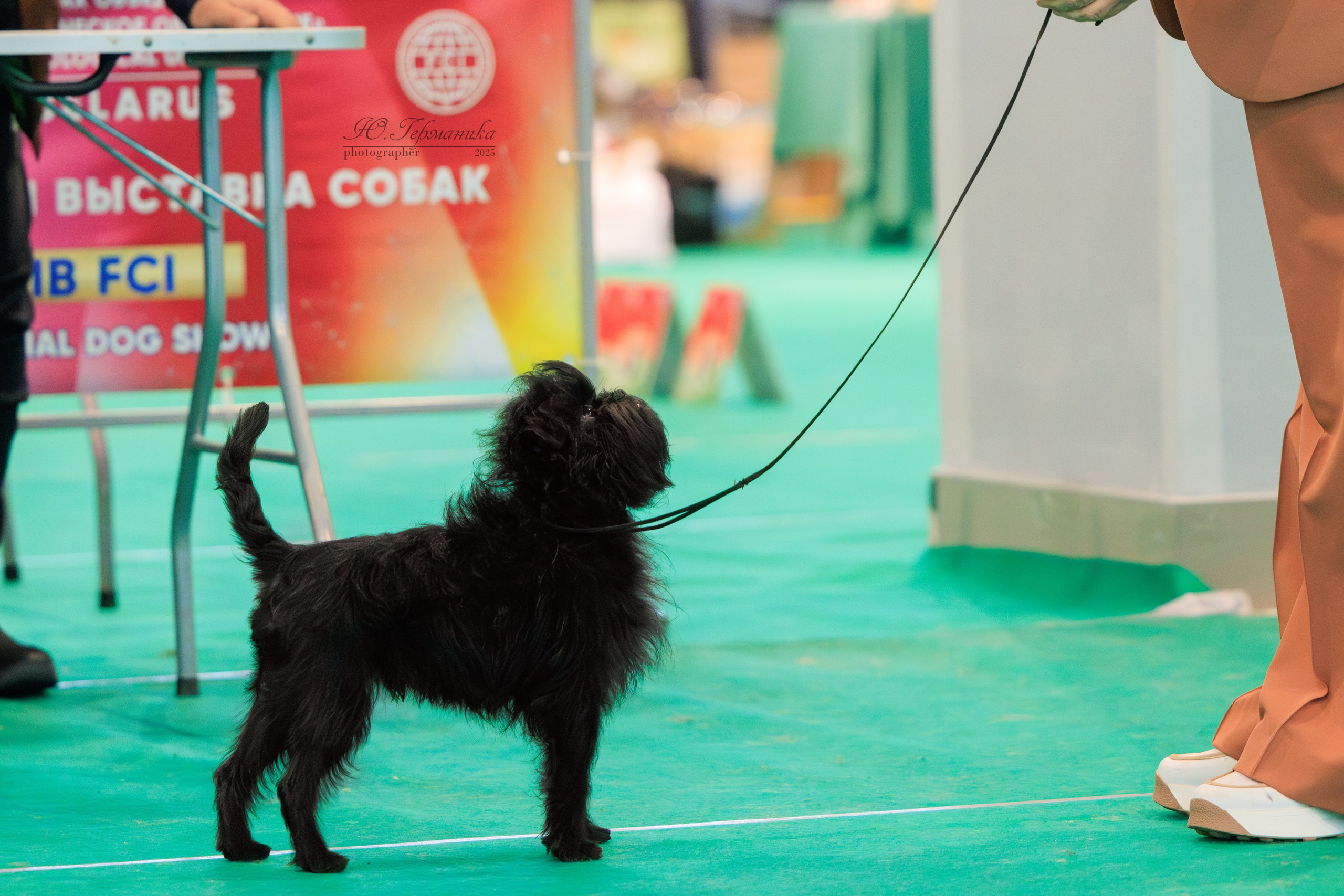 Минск 1-2.03.2025. Фотограф-анималист Юлия Германика
