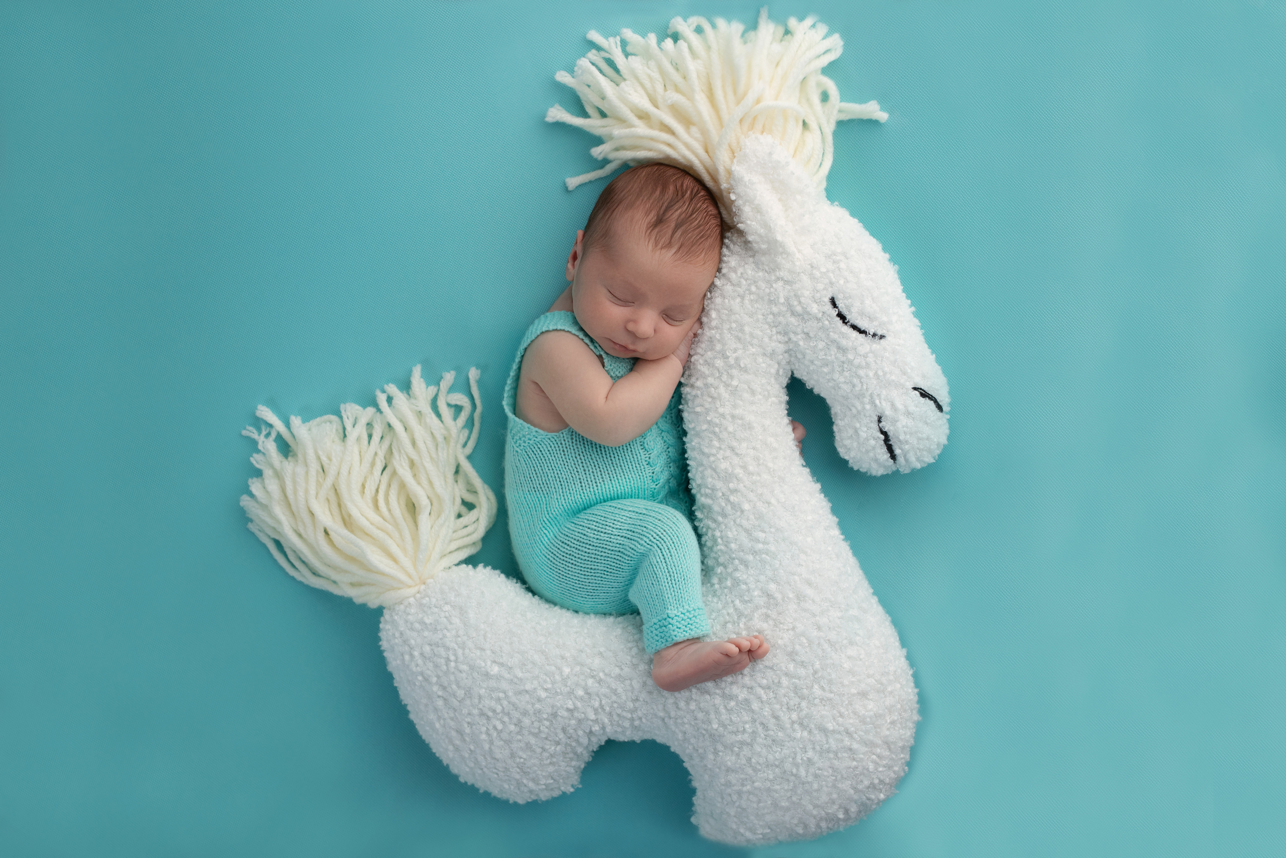 Новорожденные. Фотограф новорожденных Витебск Елена Толкач