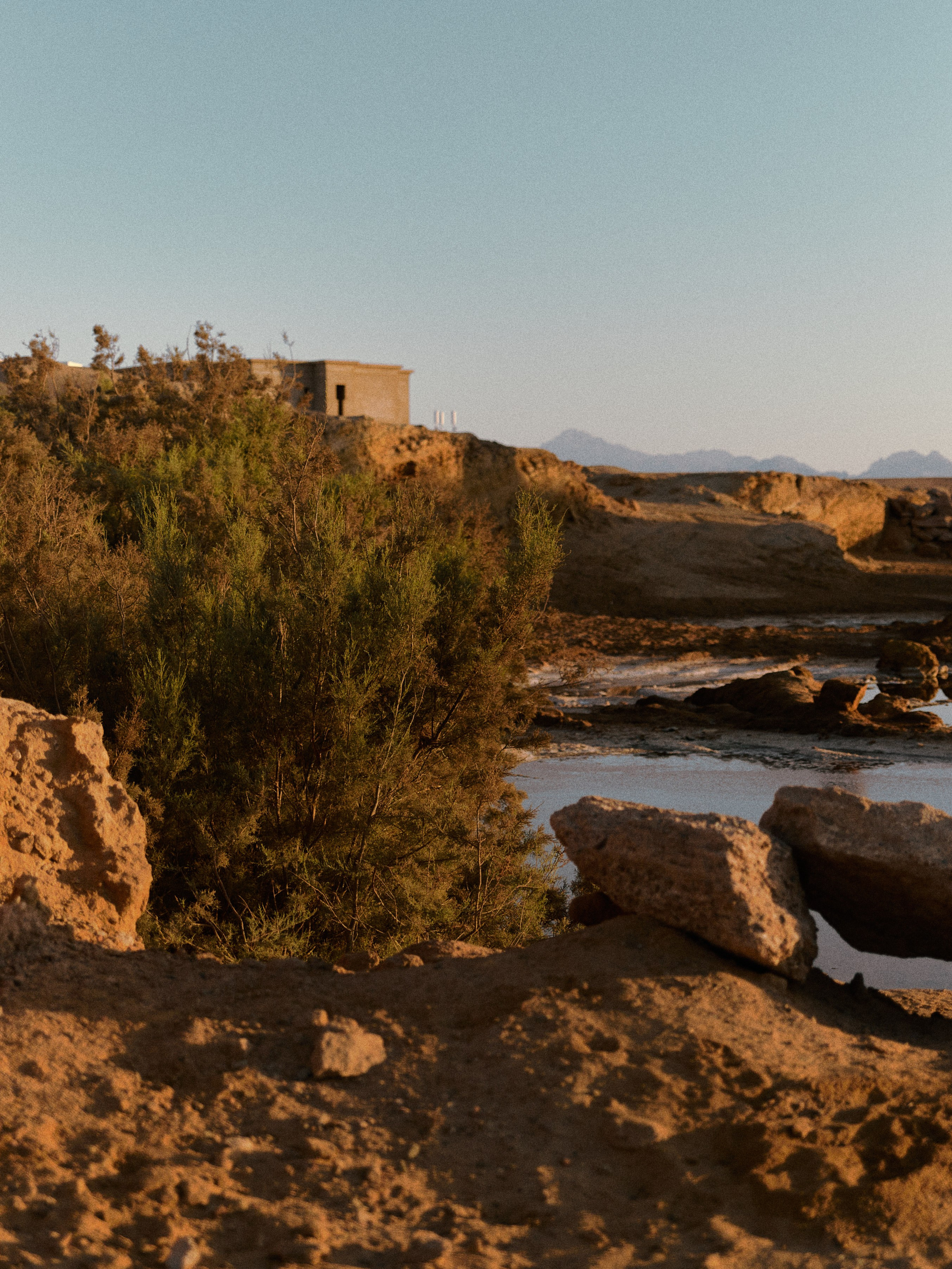 Улицы. Jorgis Talè — photographer, kind person, teacher of arts and other mag