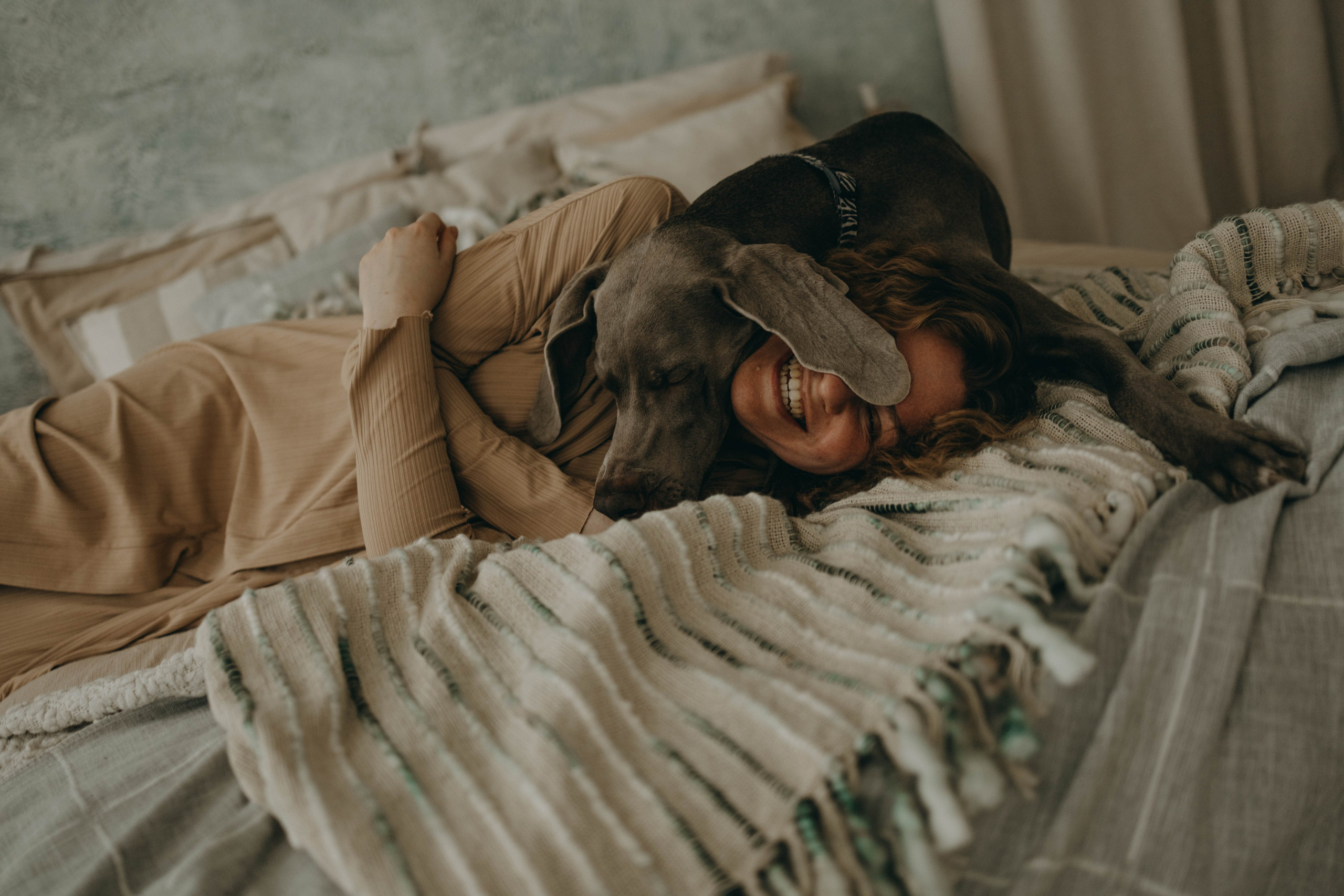 Фотосессия в студии с собакой. Фотограф-анималист в Екатеринбурге | Кристина