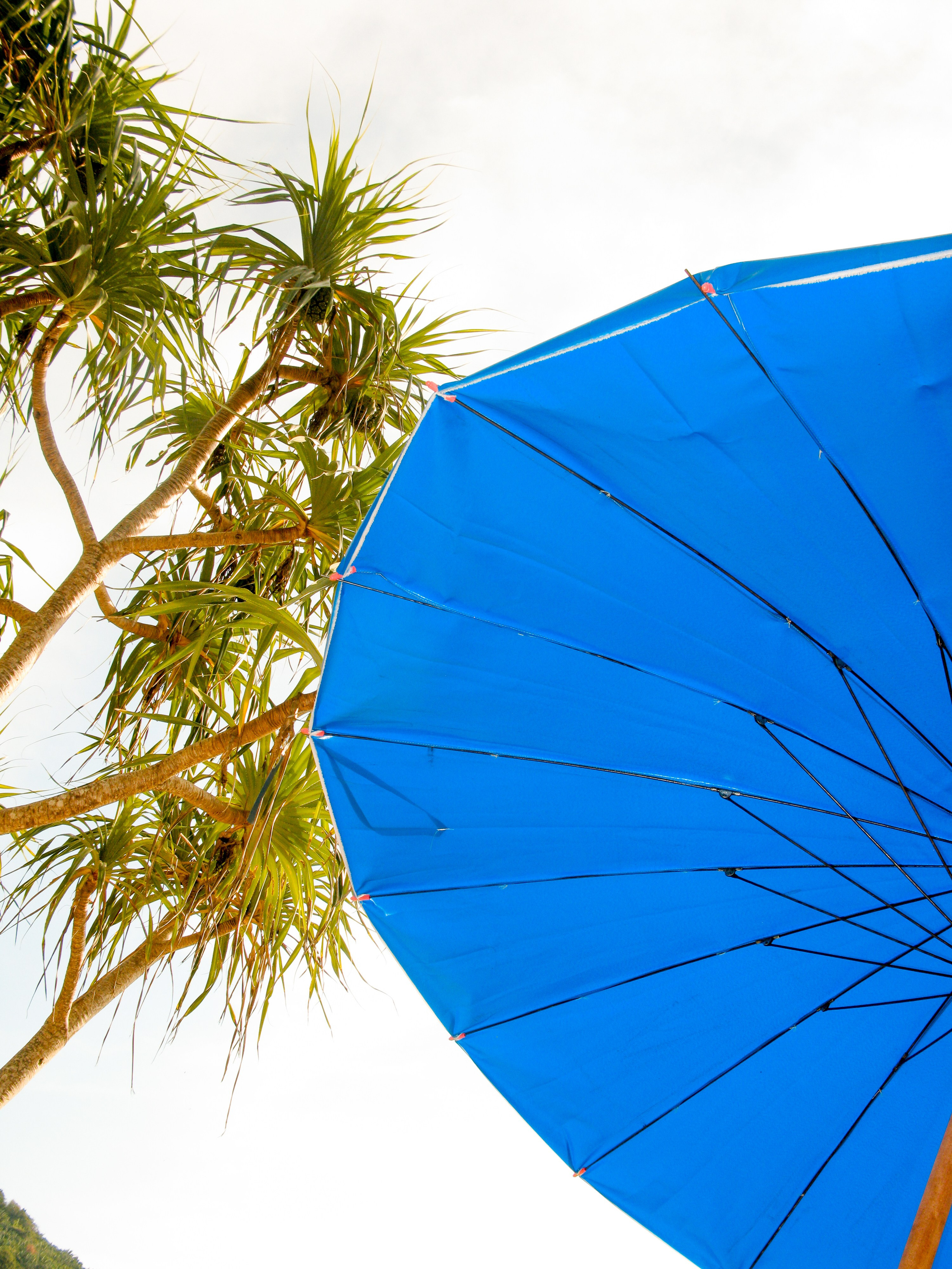 Thai. Фотограф Миланазавр