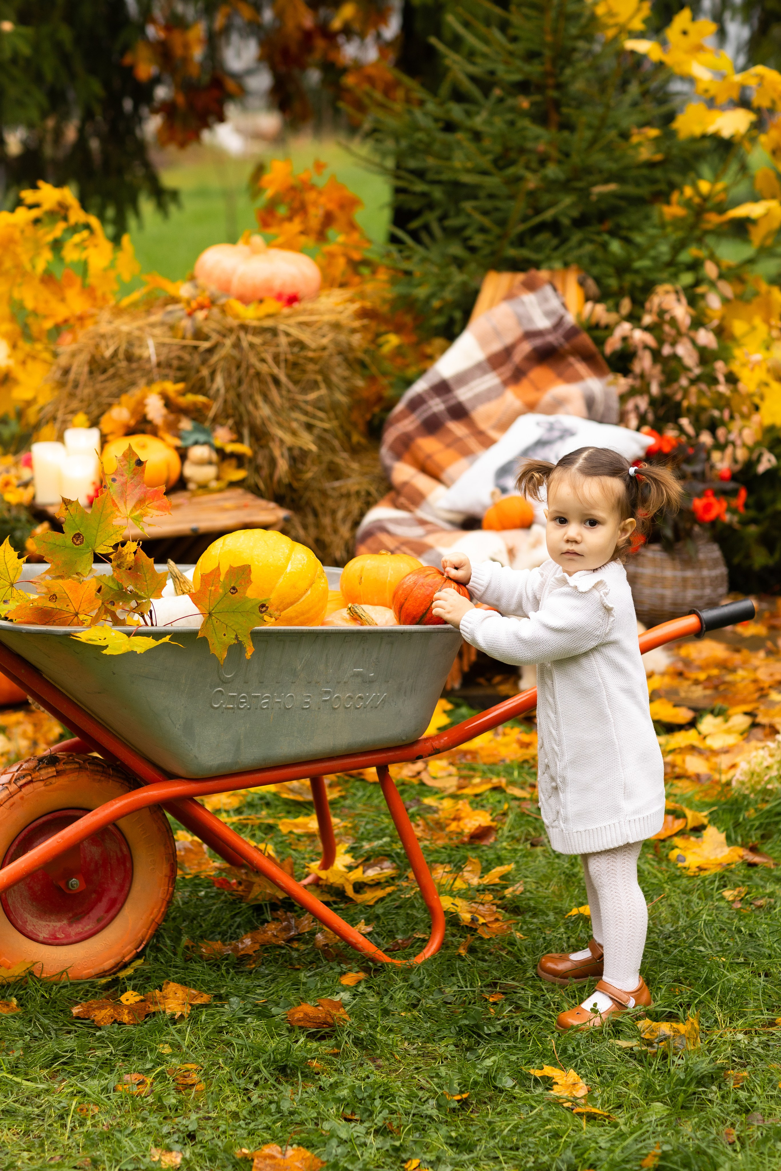 Осень. Профессиональный ретушер Москва и весь мир — Елена Тимченко