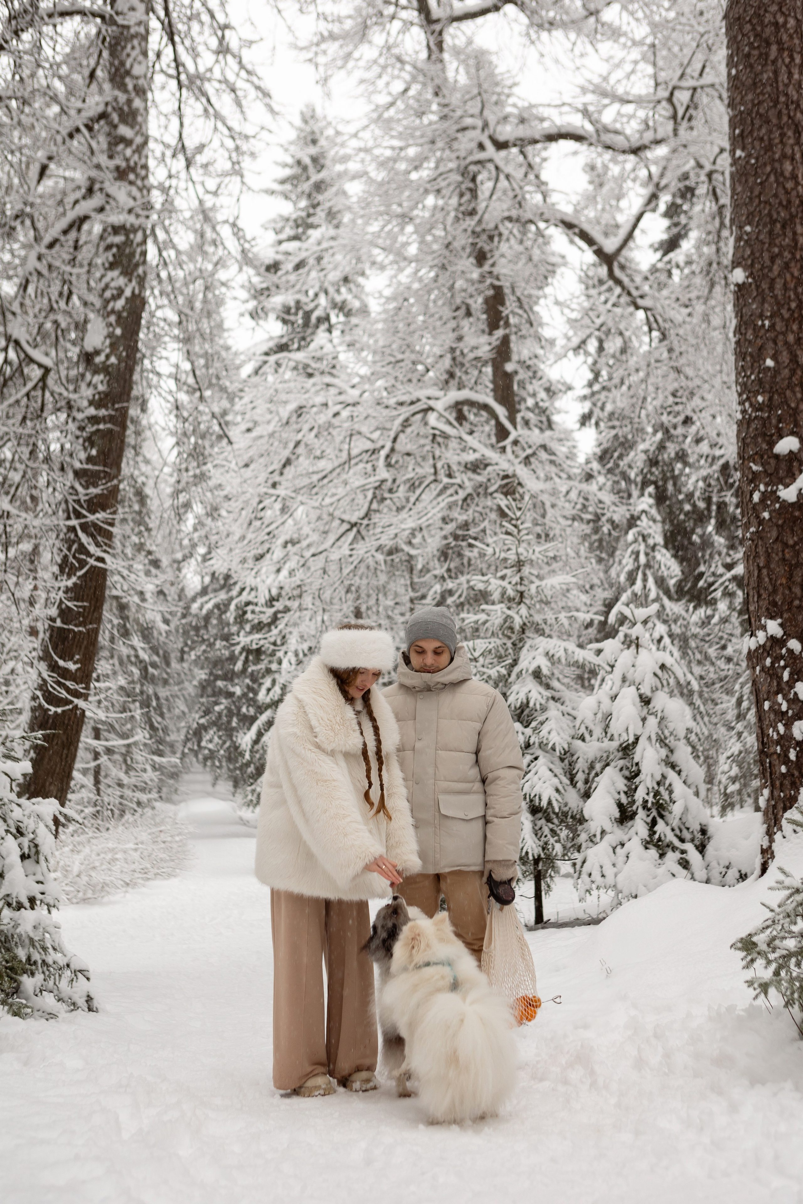 Новогодняя фотосессия с собачками в шуваловском парке. Свадебный фотограф в СПБ | Санкт-Петербурге Анастасия Рахимгулова