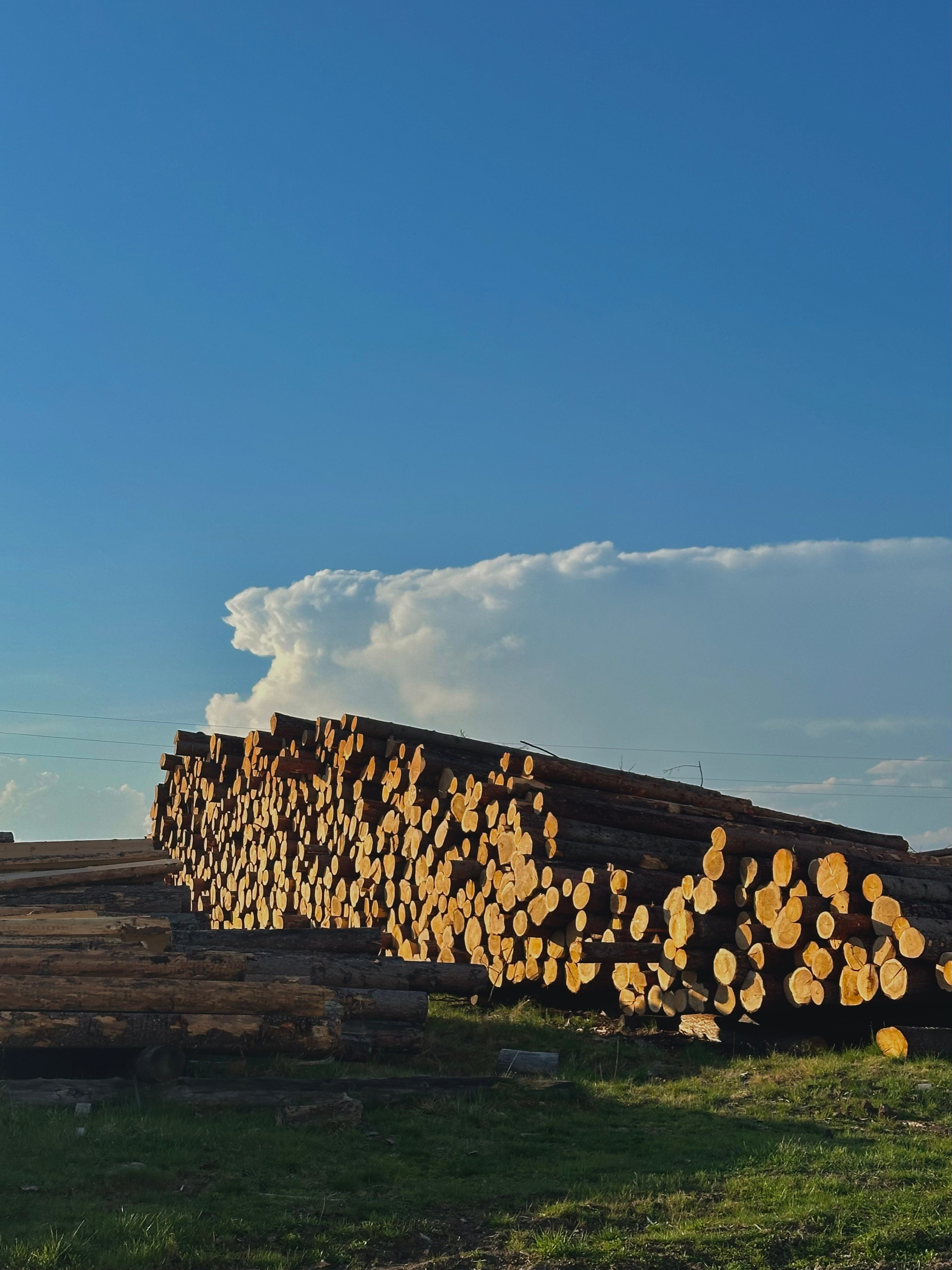 EXHIBITION. Репортажный и интерьерный фотограф, фотохудожник