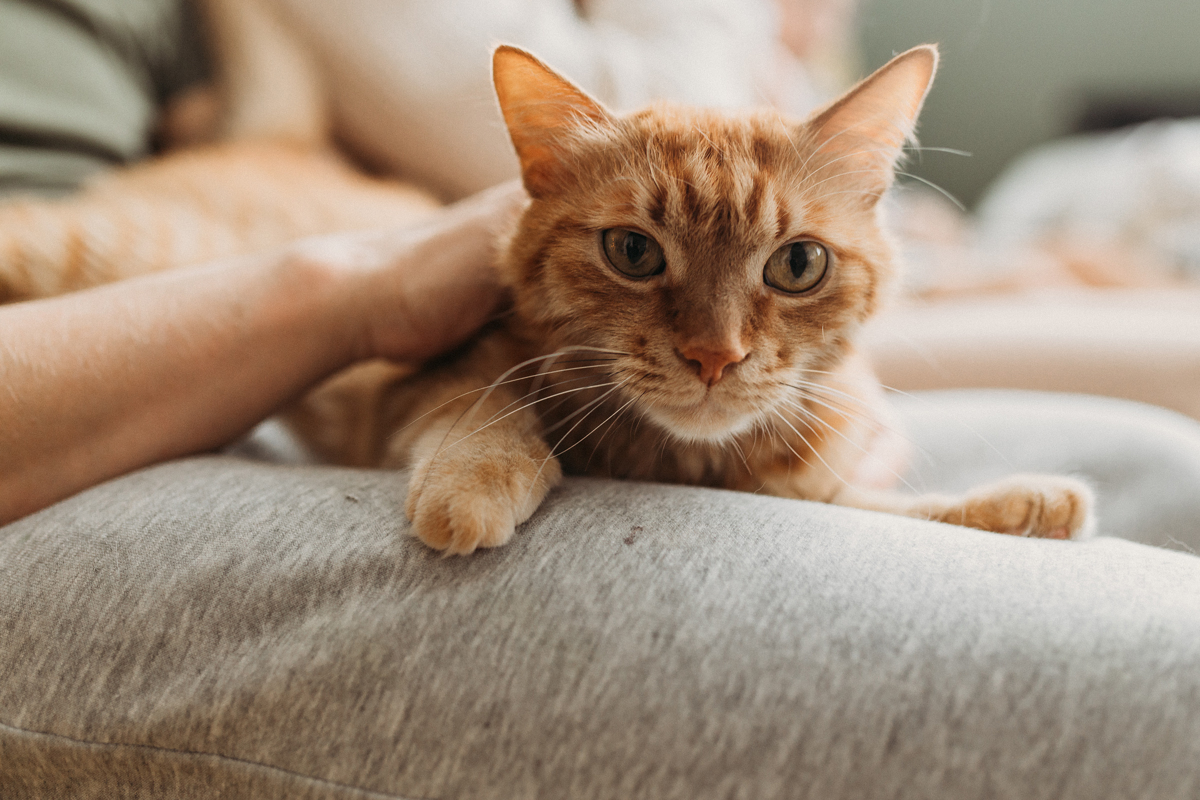 Катя, Вадим, Фёдор и Алиса. Фотограф Людмила Оюн