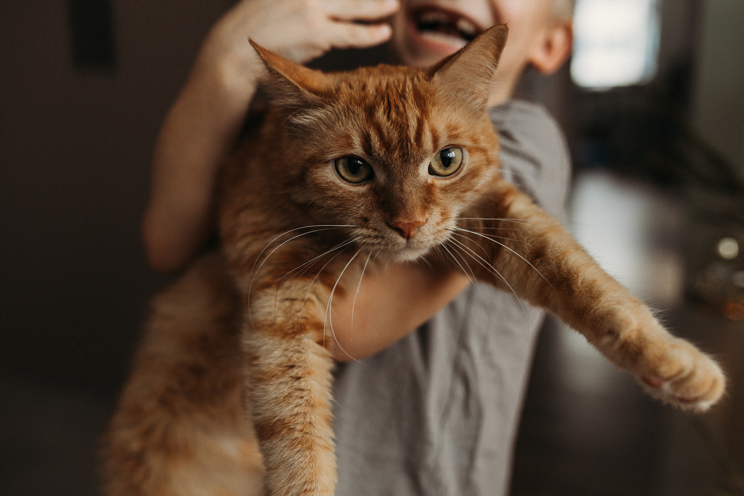 Катя, Вадим, Фёдор и Алиса. Фотограф Людмила Оюн