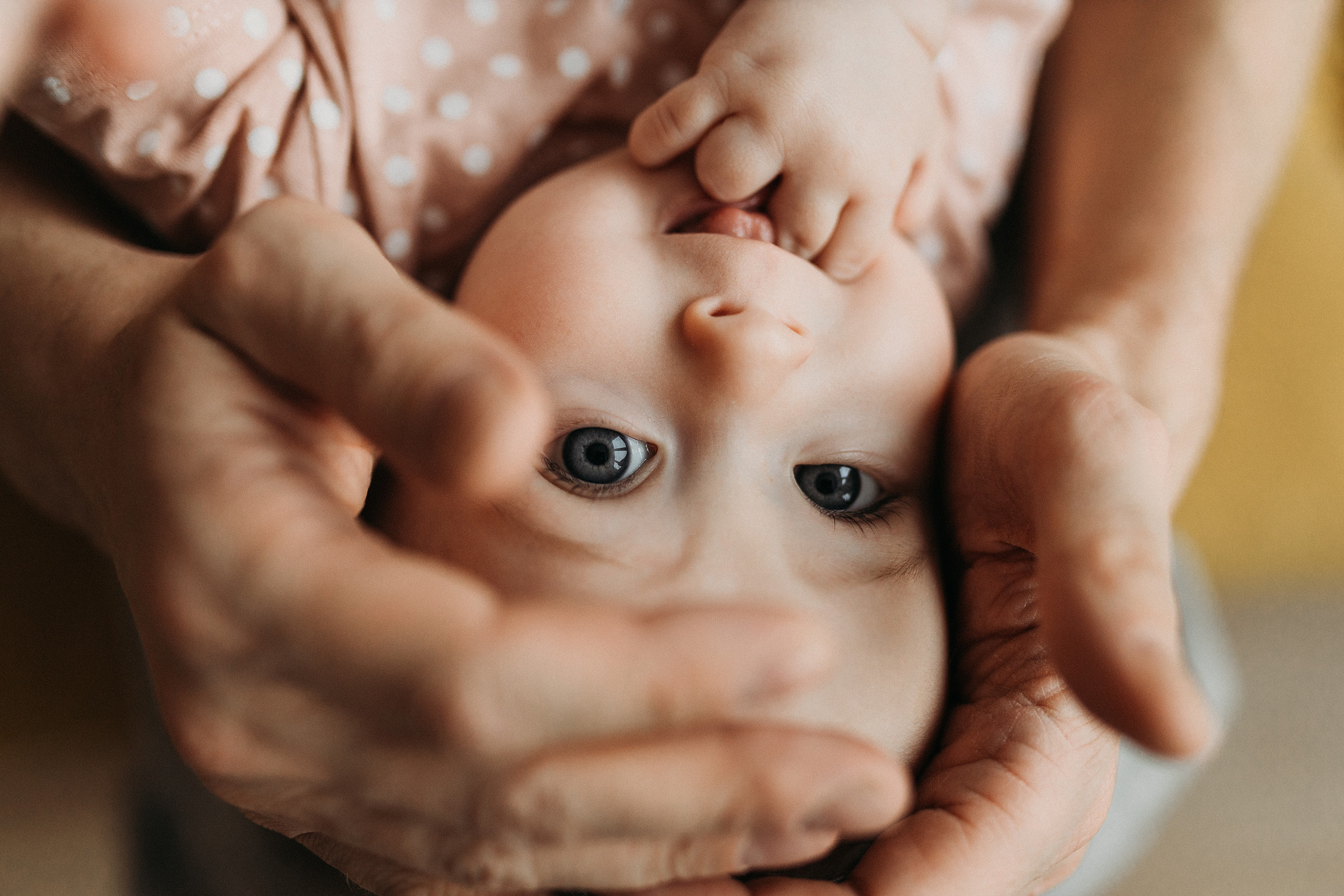 Катя, Вадим, Фёдор и Алиса. Фотограф Людмила Оюн