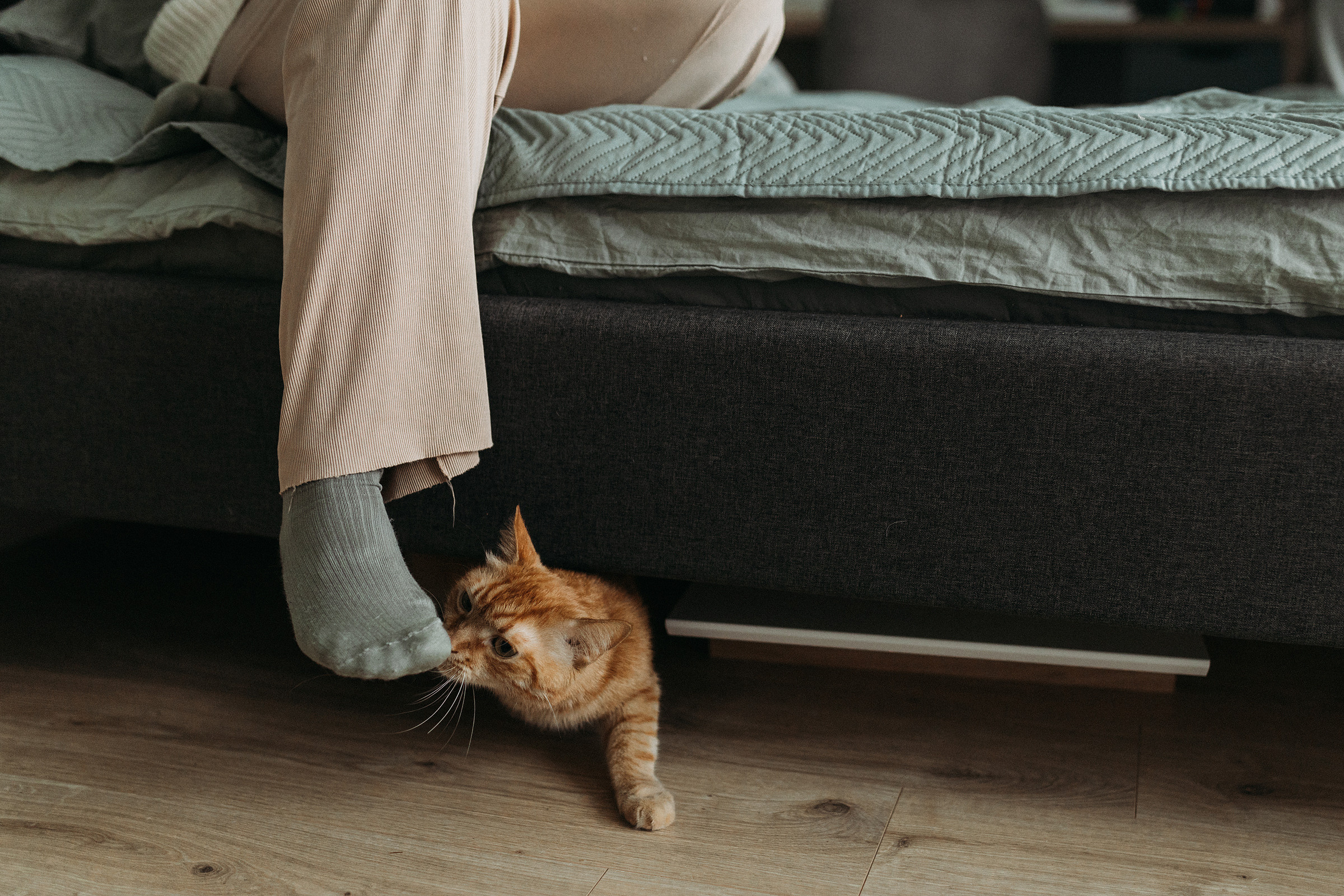 Катя, Вадим, Фёдор и Алиса. Фотограф Людмила Оюн