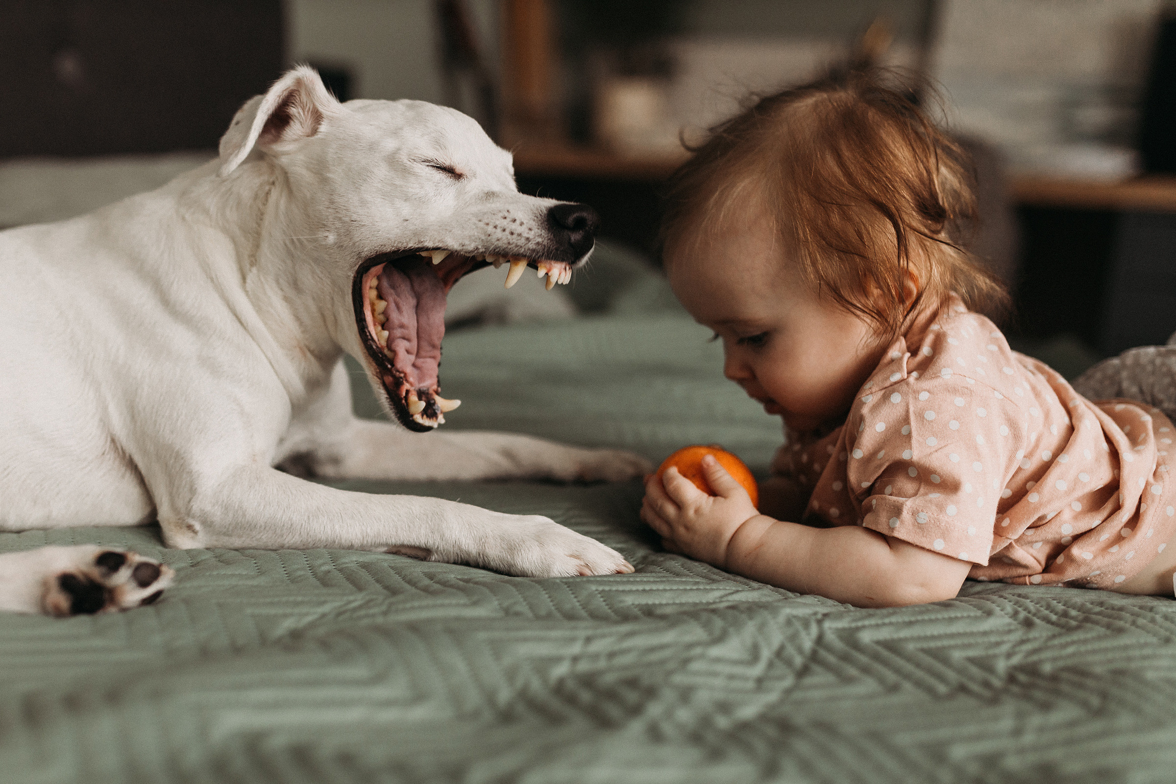Катя, Вадим, Фёдор и Алиса. Фотограф Людмила Оюн
