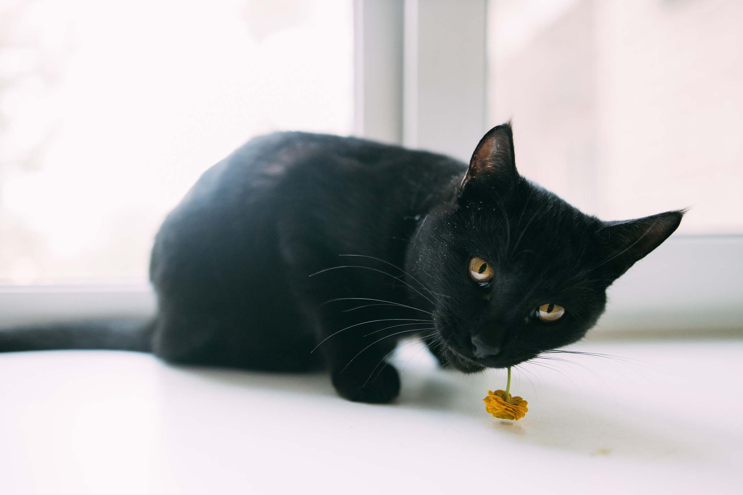 Настя и Егор. Фотограф Людмила Оюн