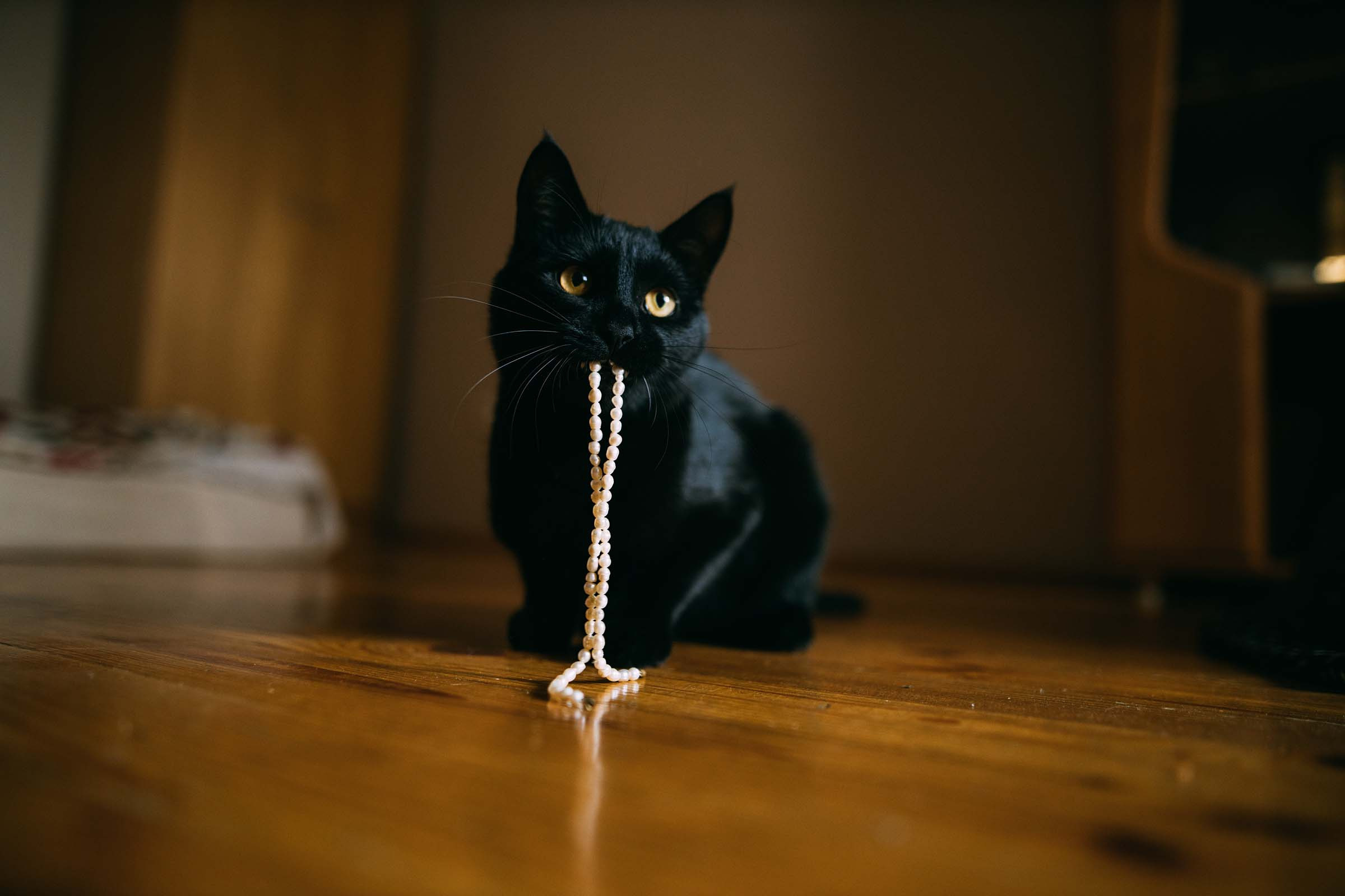 Настя и Егор. Фотограф Людмила Оюн