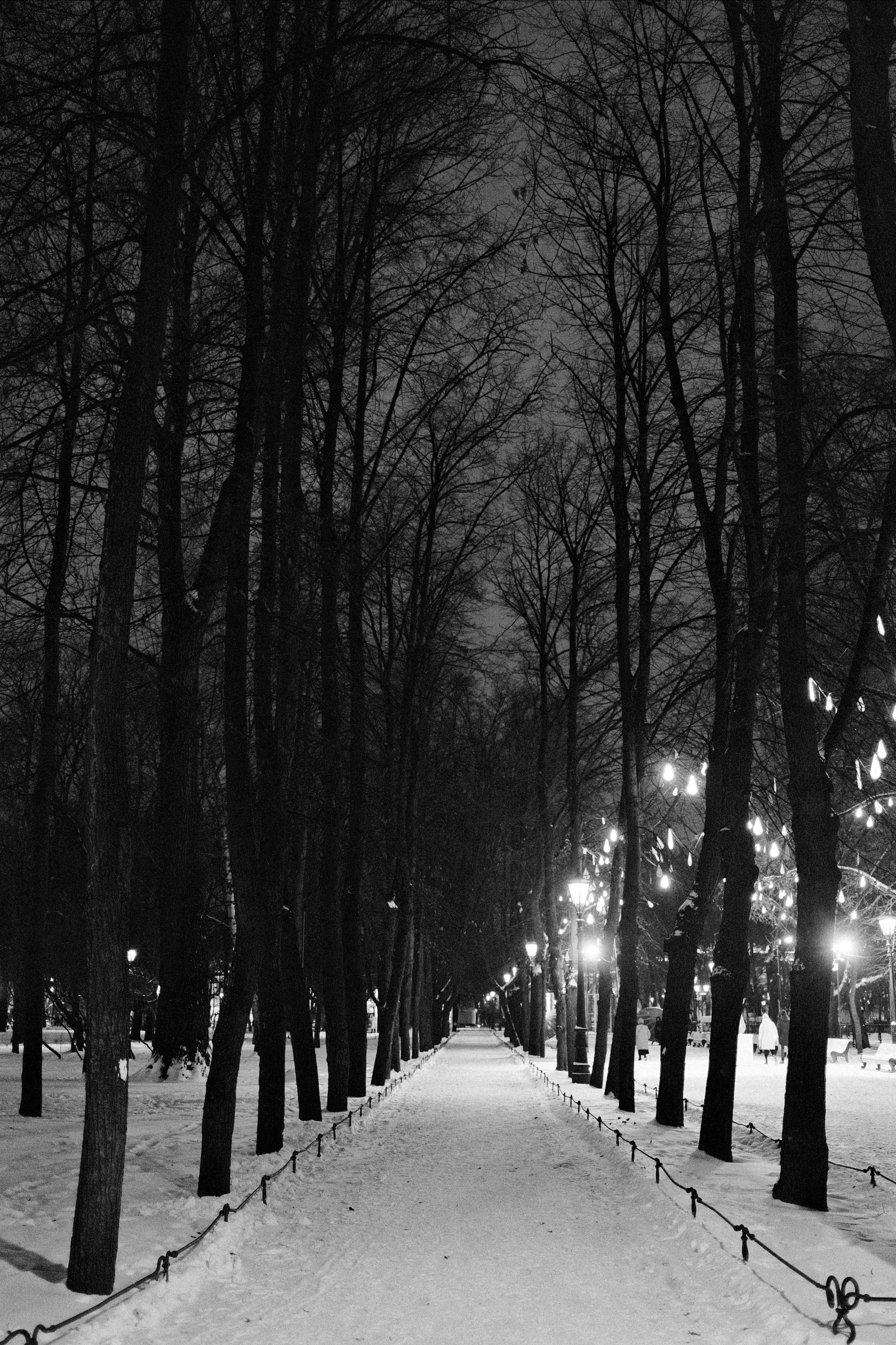 Санкт-Петербург. Портретный фотограф