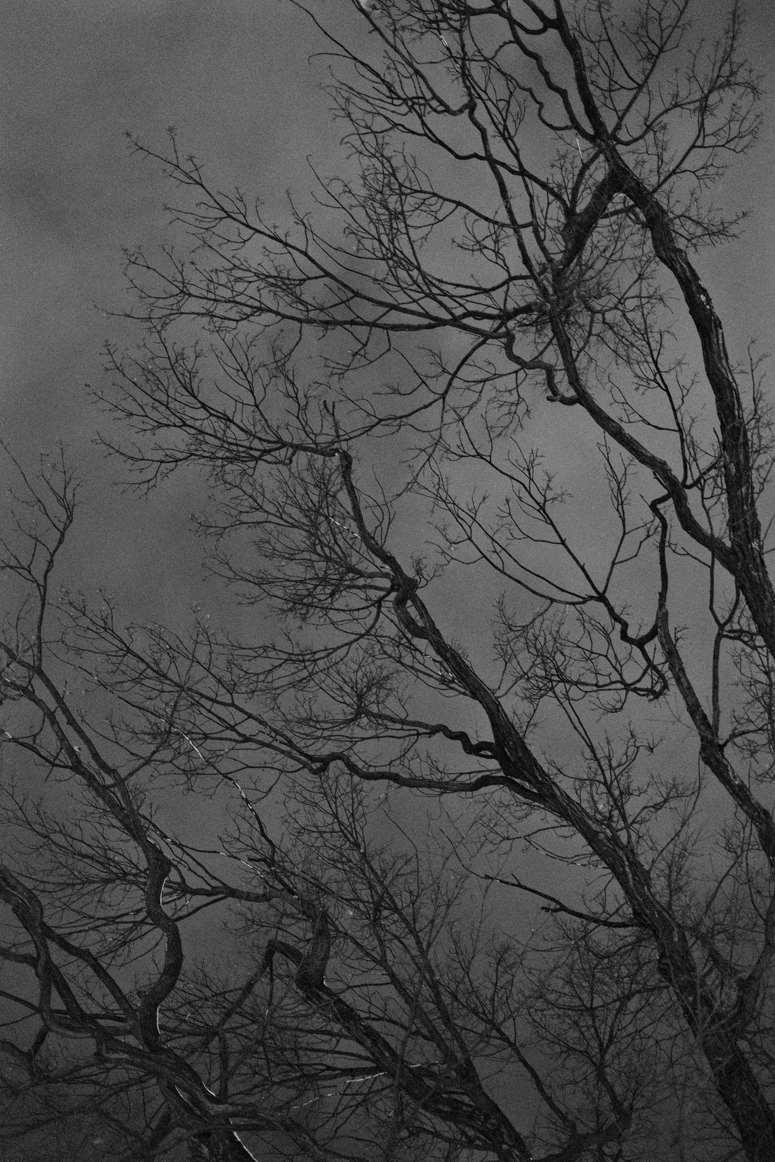 Санкт-Петербург. Портретный фотограф