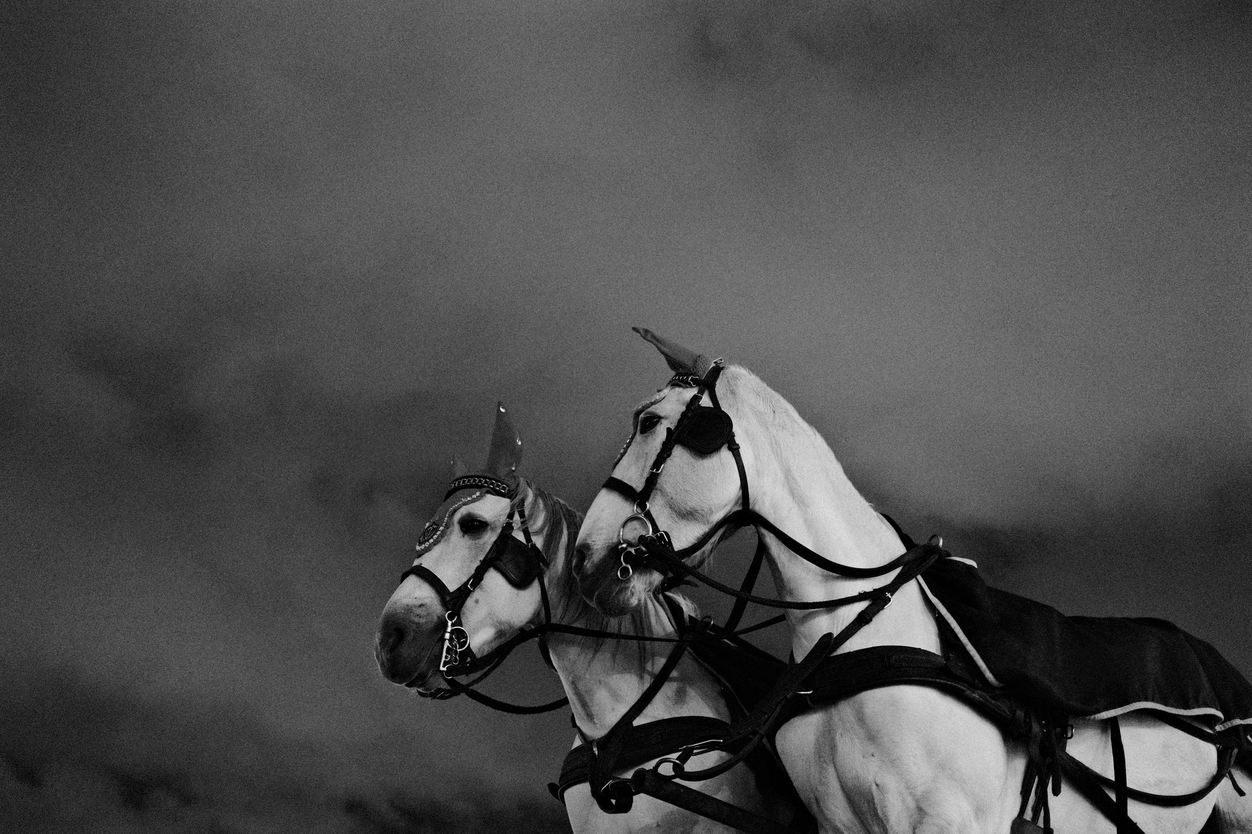 Санкт-Петербург. Портретный фотограф