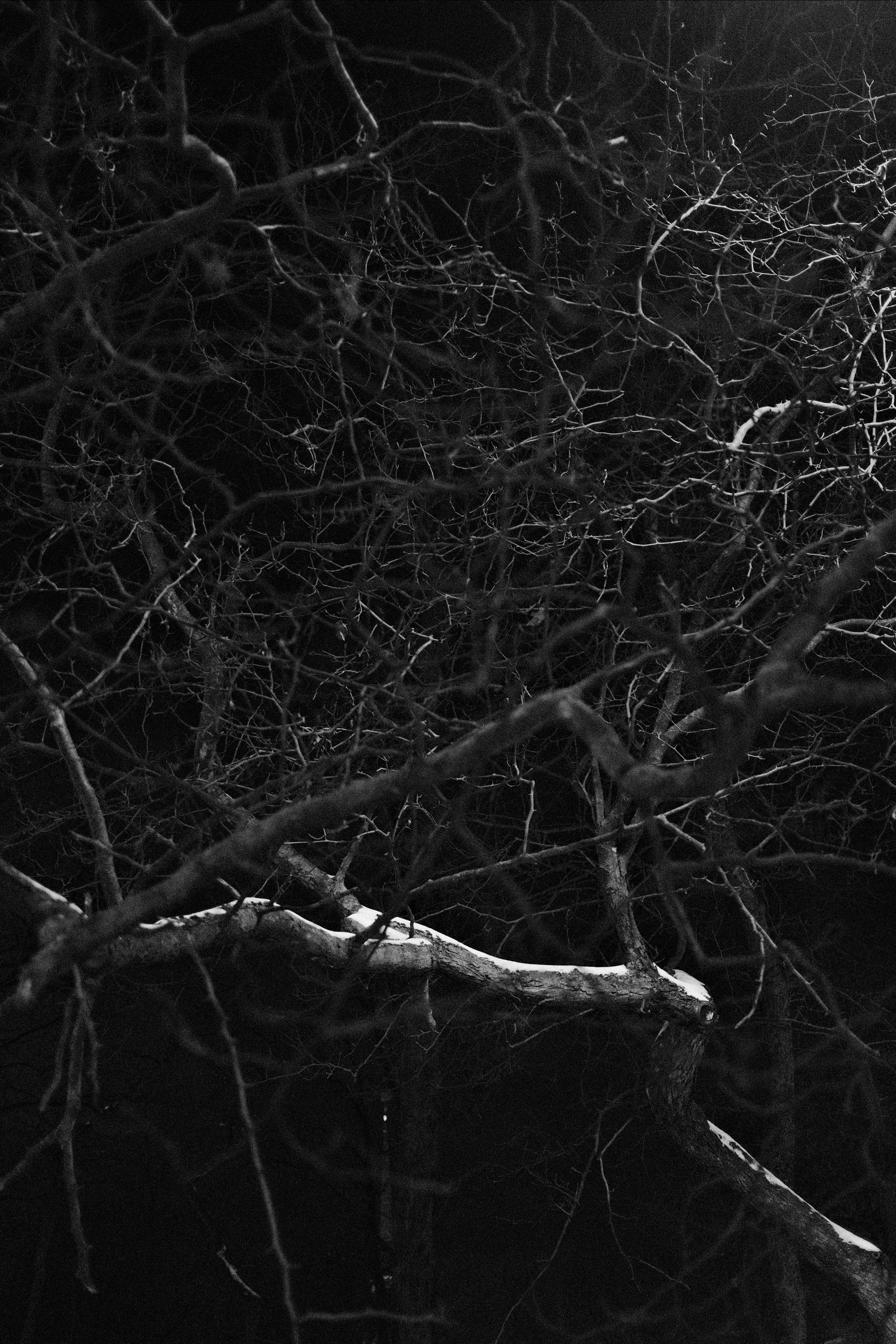 Санкт-Петербург. Портретный фотограф