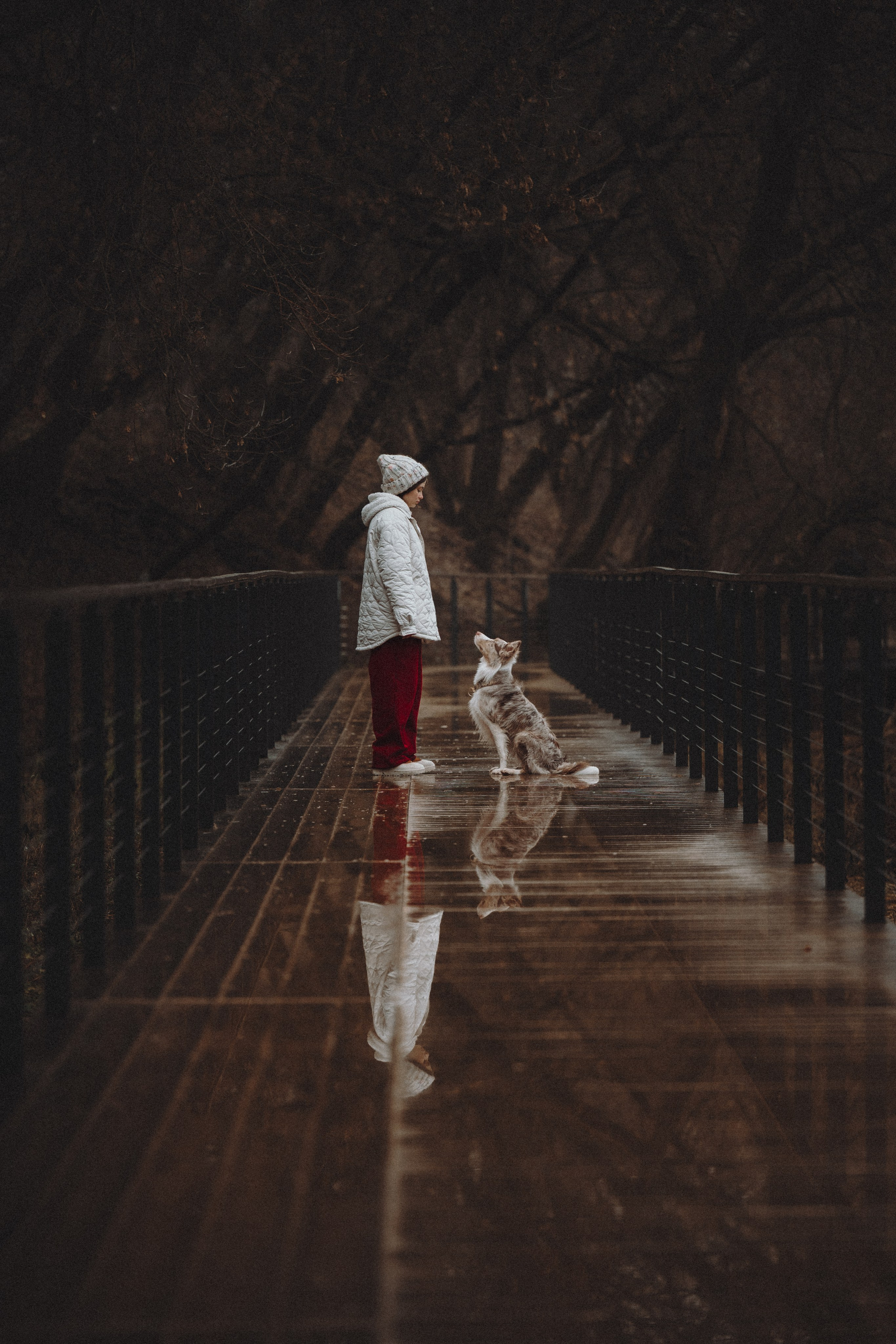 Стоимость. Семейный фотограф анималист Ананьева Мария — Москва