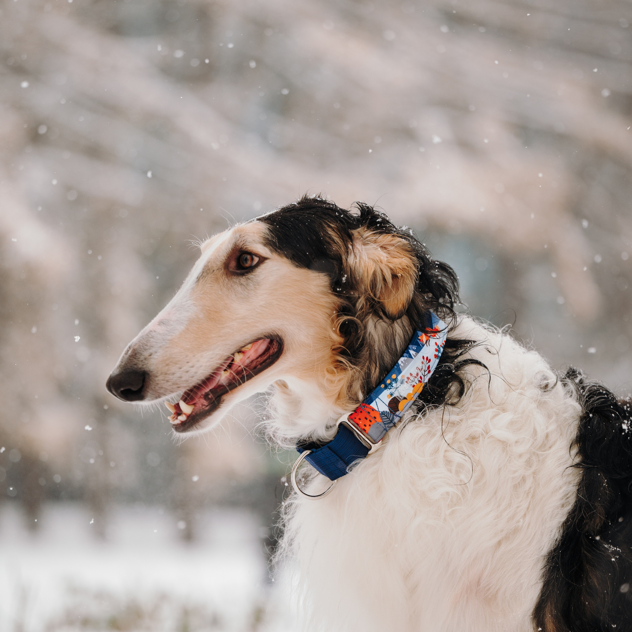 Bender&Frai. Зимняя коллекция. Семейный фотограф анималист Ананьева Мария — Москва