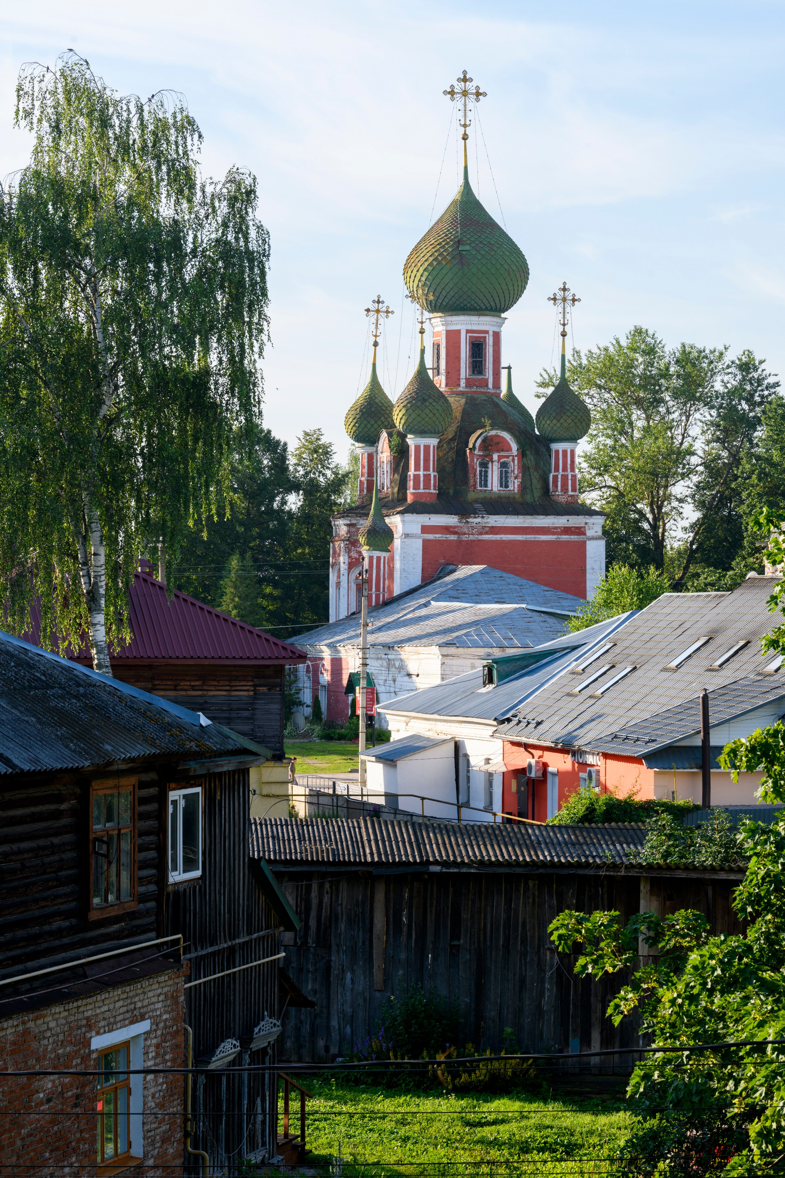 Переславль-Залесский. Wildlife photography by Sergey Puponin