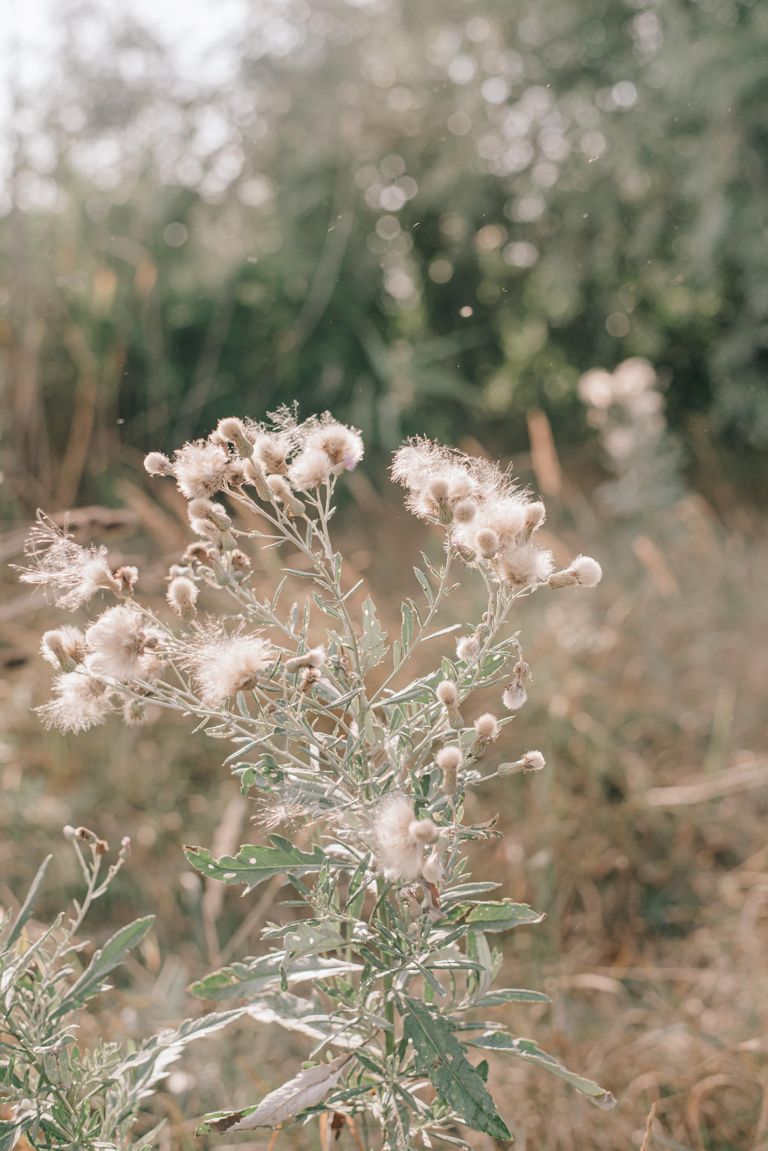 Ангелина, Настя и Полина. Фотограф в Краснодаре Зеленкина Дарья