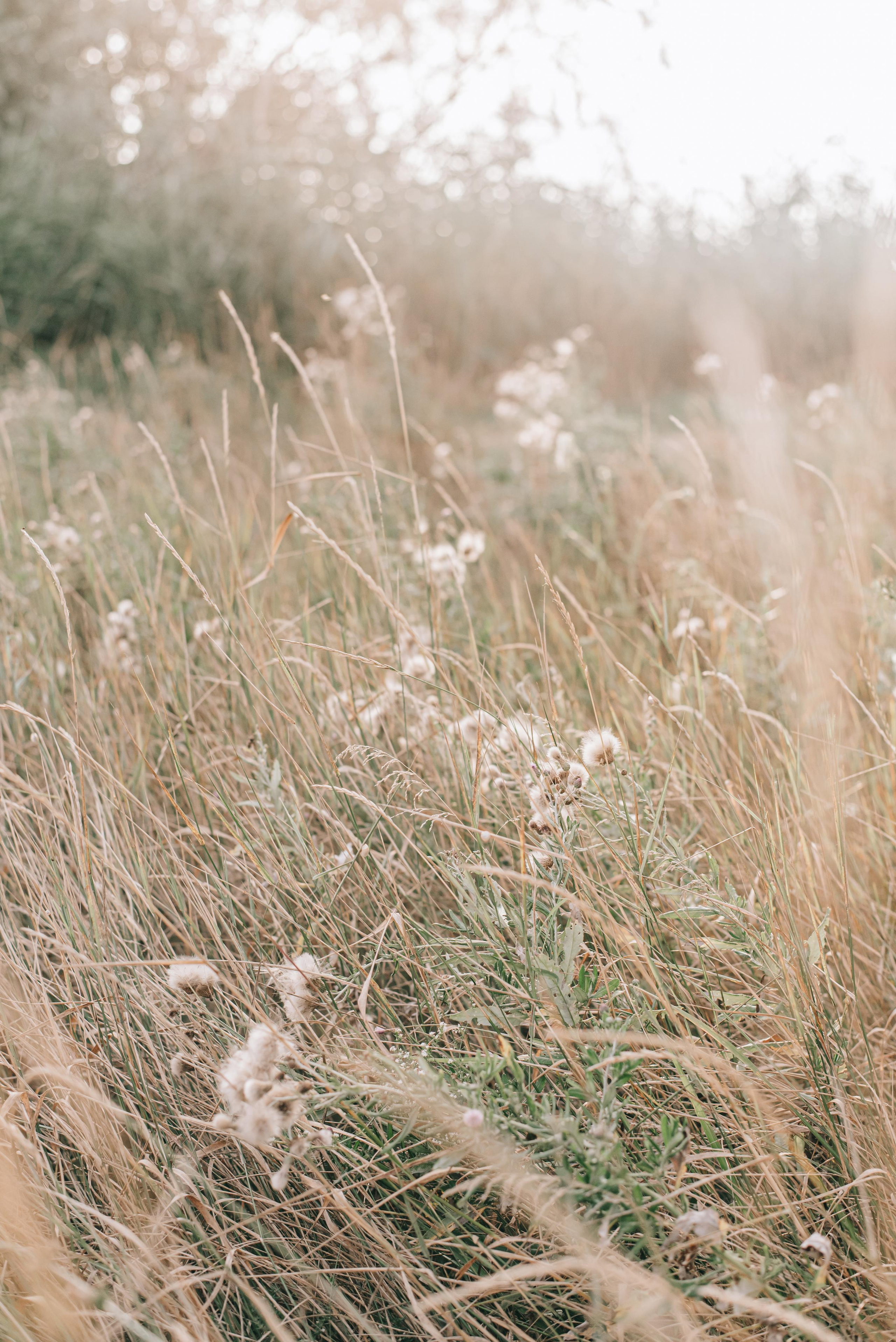 Ангелина, Настя и Полина. Фотограф в Краснодаре Зеленкина Дарья