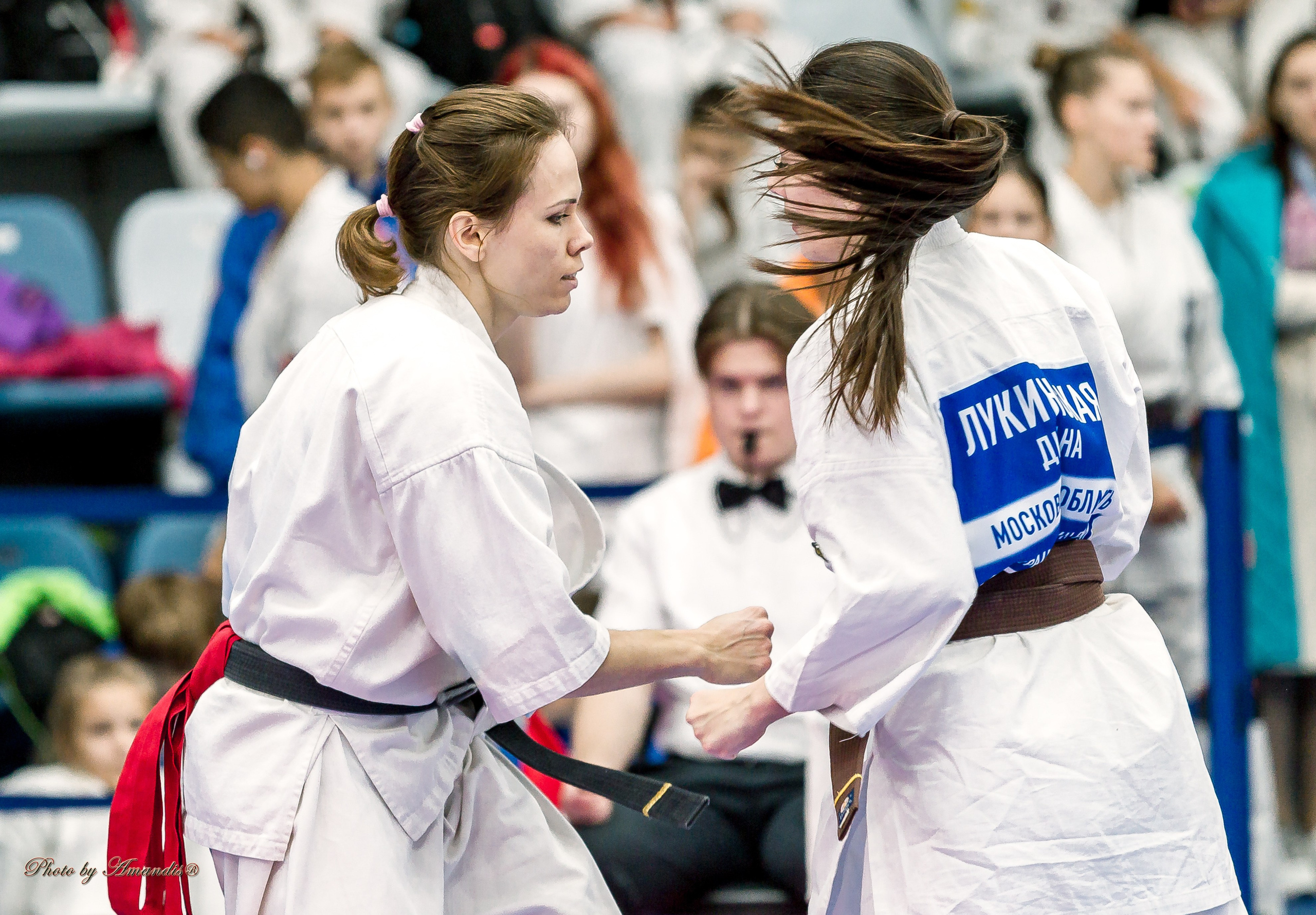 Чемпионат по Киокушинкай Центрального Федерального округа. Репортажная съемка в Москве и области. Анималистика