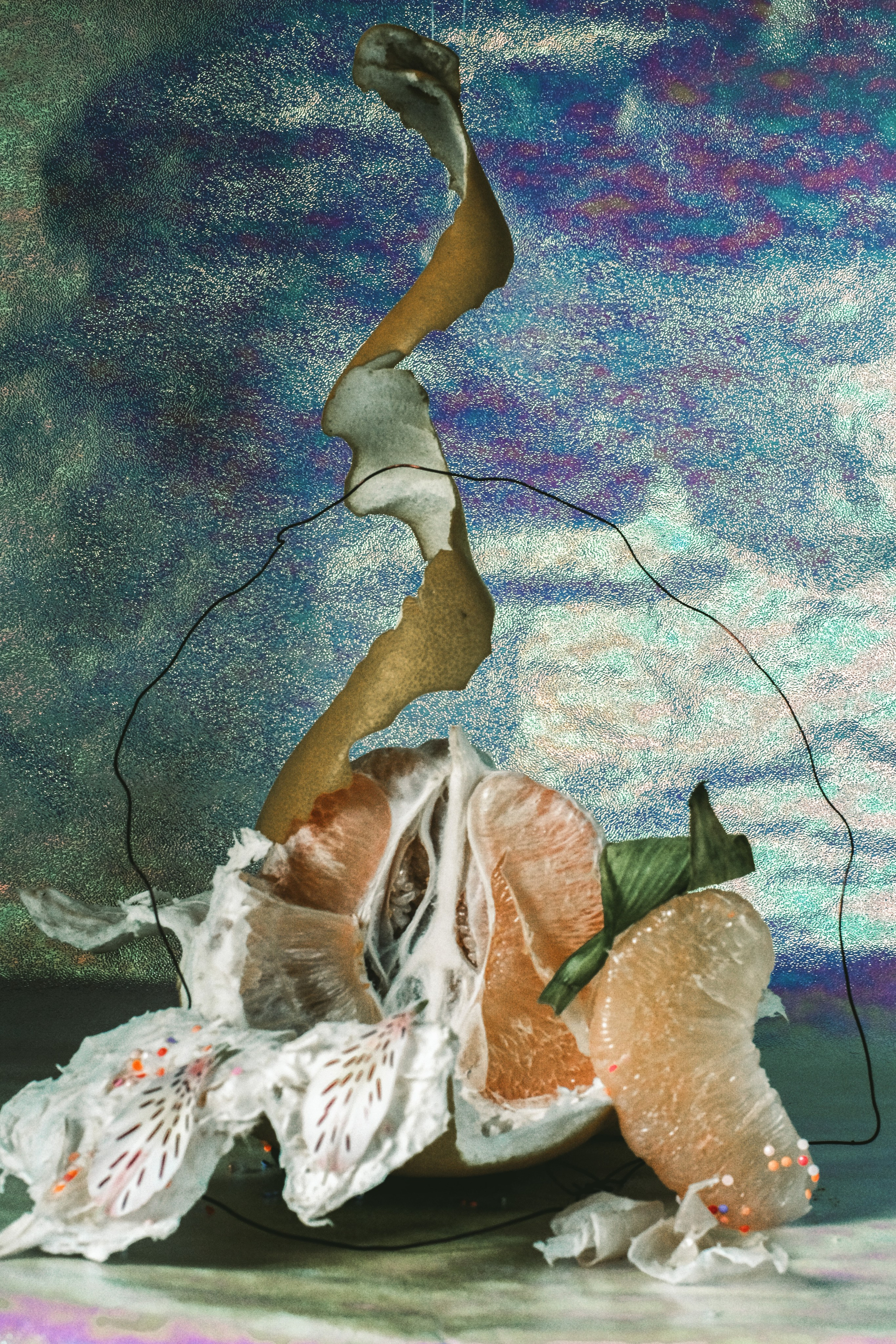 Art. Фотограф Алина Малина