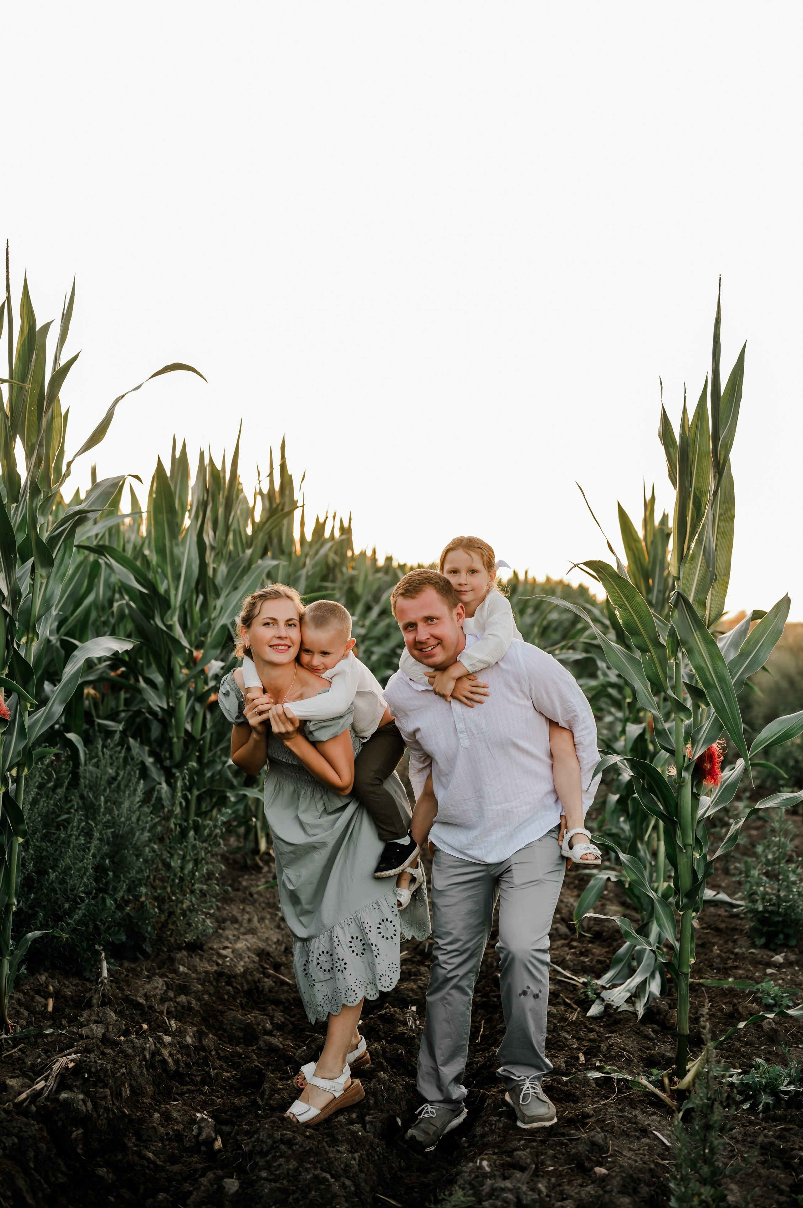 Кукуруза+сено, семейная фотосессия. Свадебный и семейный фотограф Евгения Кононова