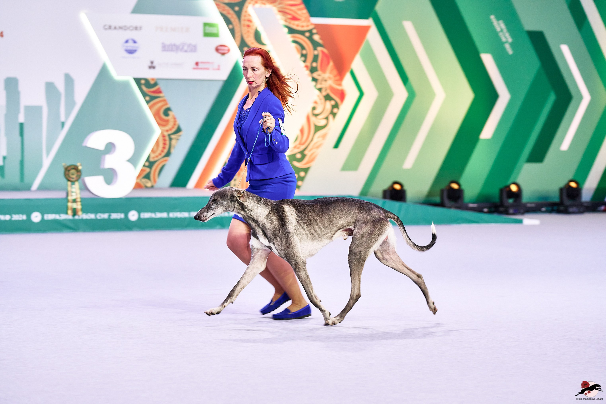 16.11.2024 «ЕВРАЗИЯ. КУБОК ПРЕЗИДЕНТА РКФ 2024»