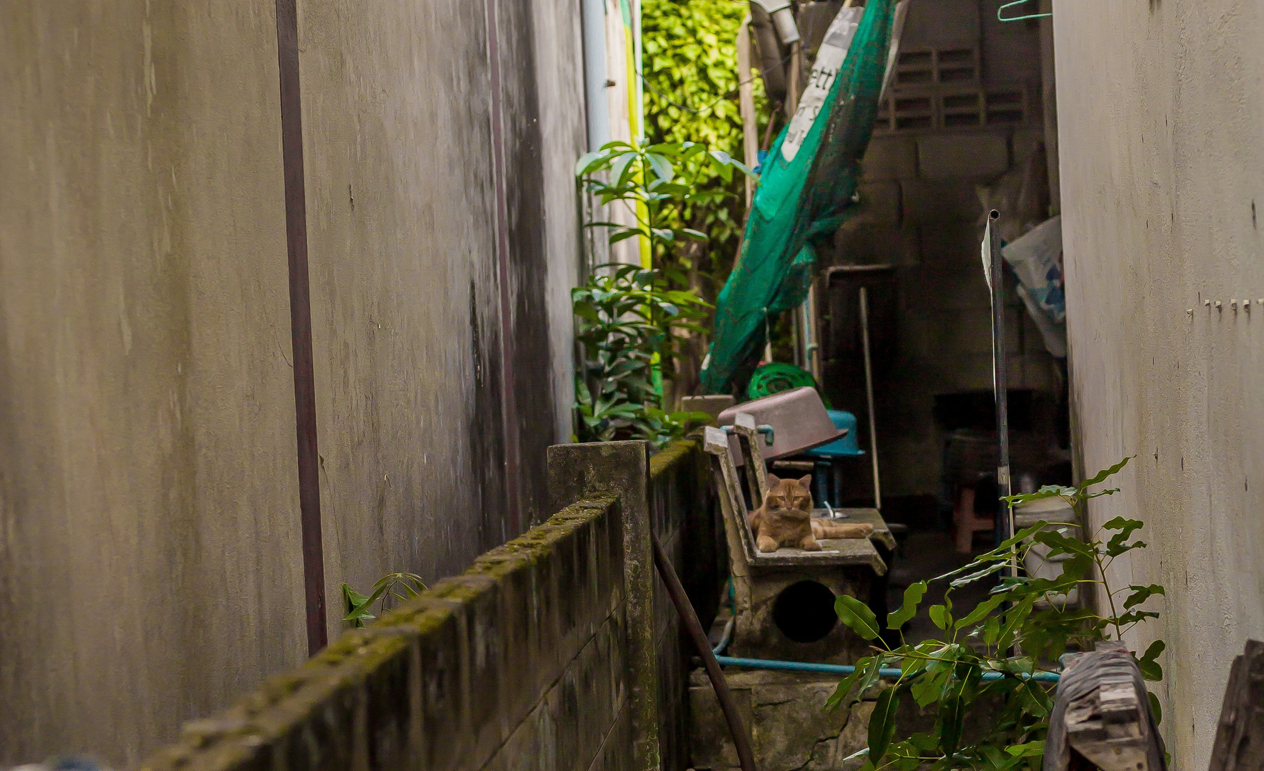 Thailand 2023, Samui. Art Photographer