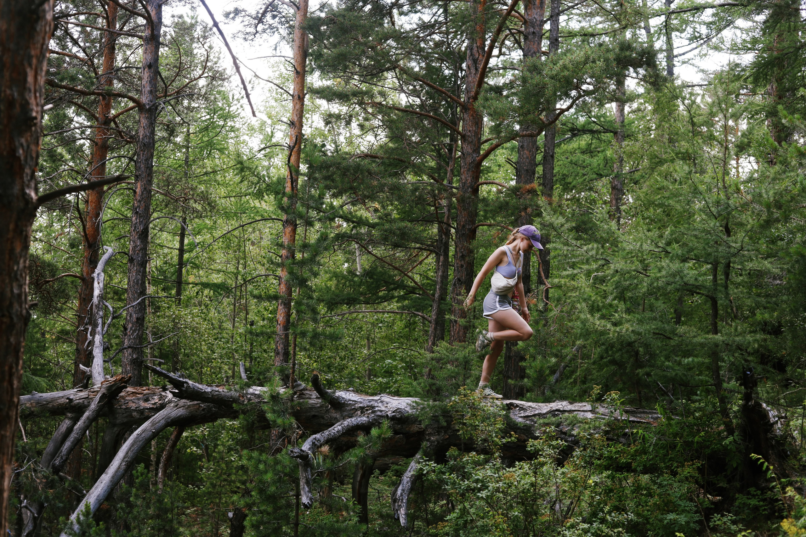 Лето 2024 / палатки. 1642 — первый лагерь для взрослых на Байкале