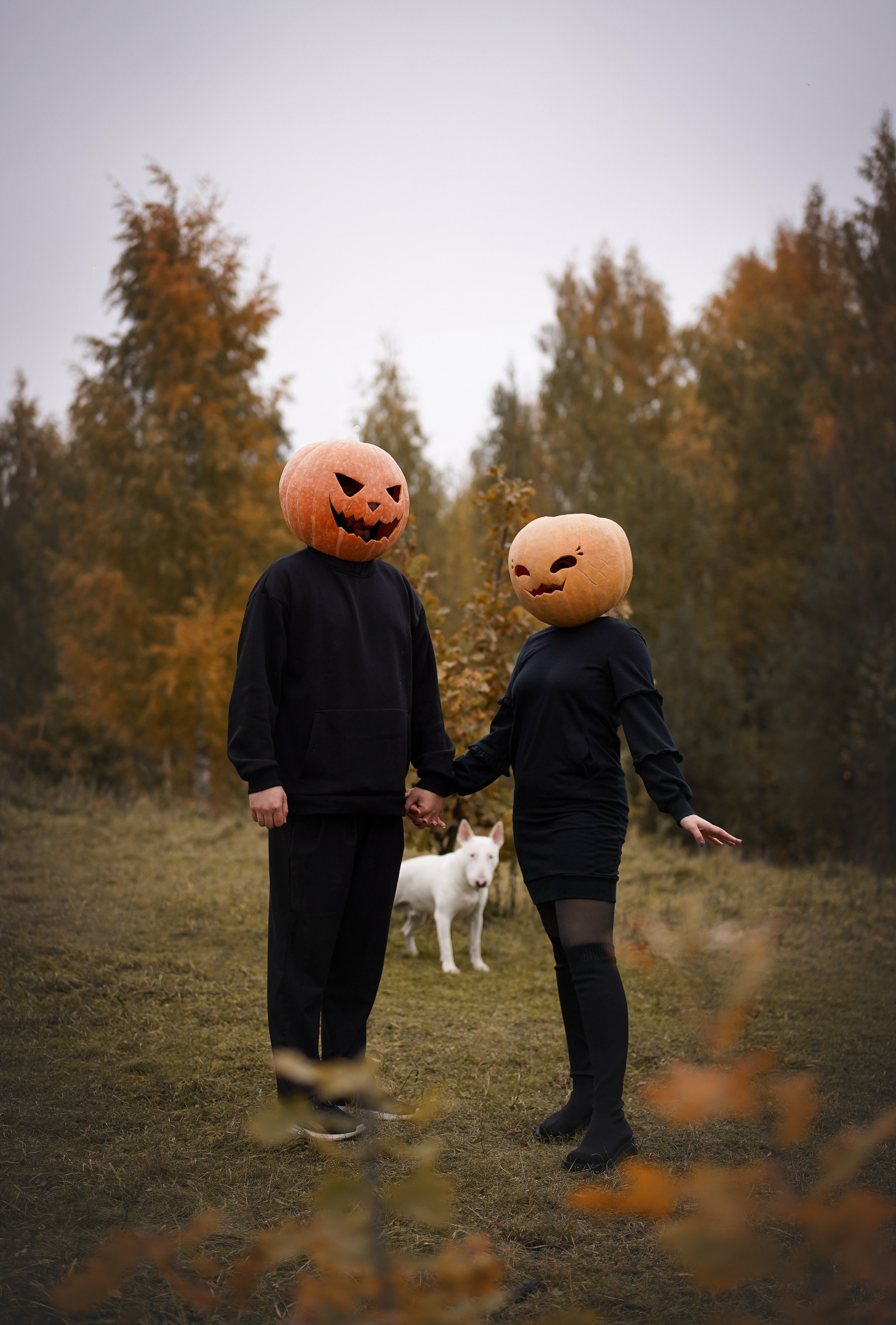 Настя Рома и Сахар Хелоуин. Фотограф-анималист в Санкт-Петербурге Яна Мартынова