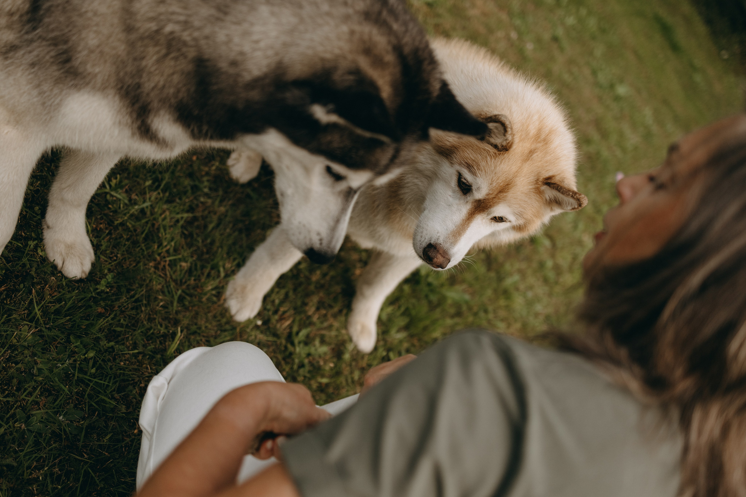 Дом у реки. Фотограф — Анималист | Санкт-Петербург