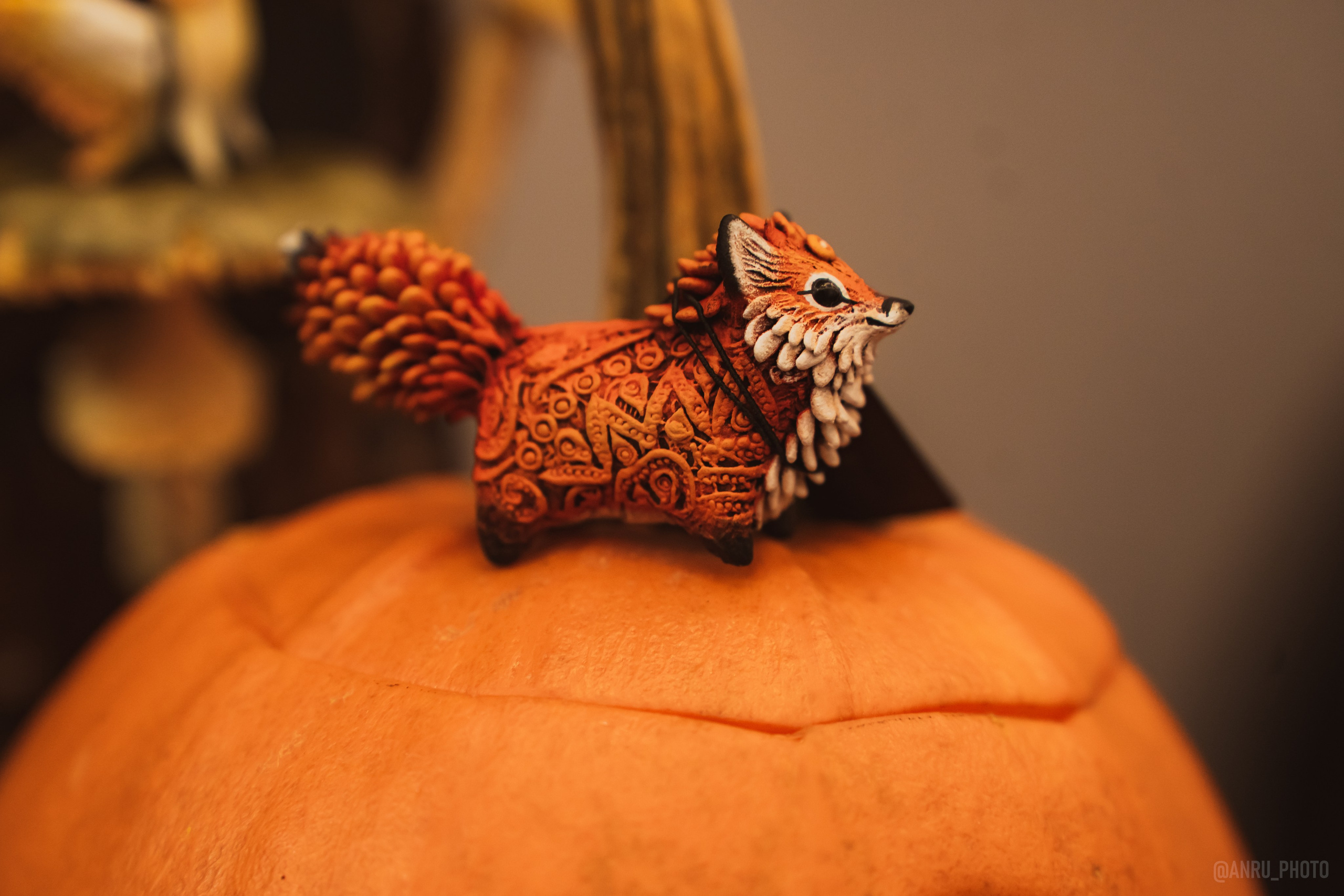 Fox Family fest. Репортажный фотограф Анастасия Рубцова