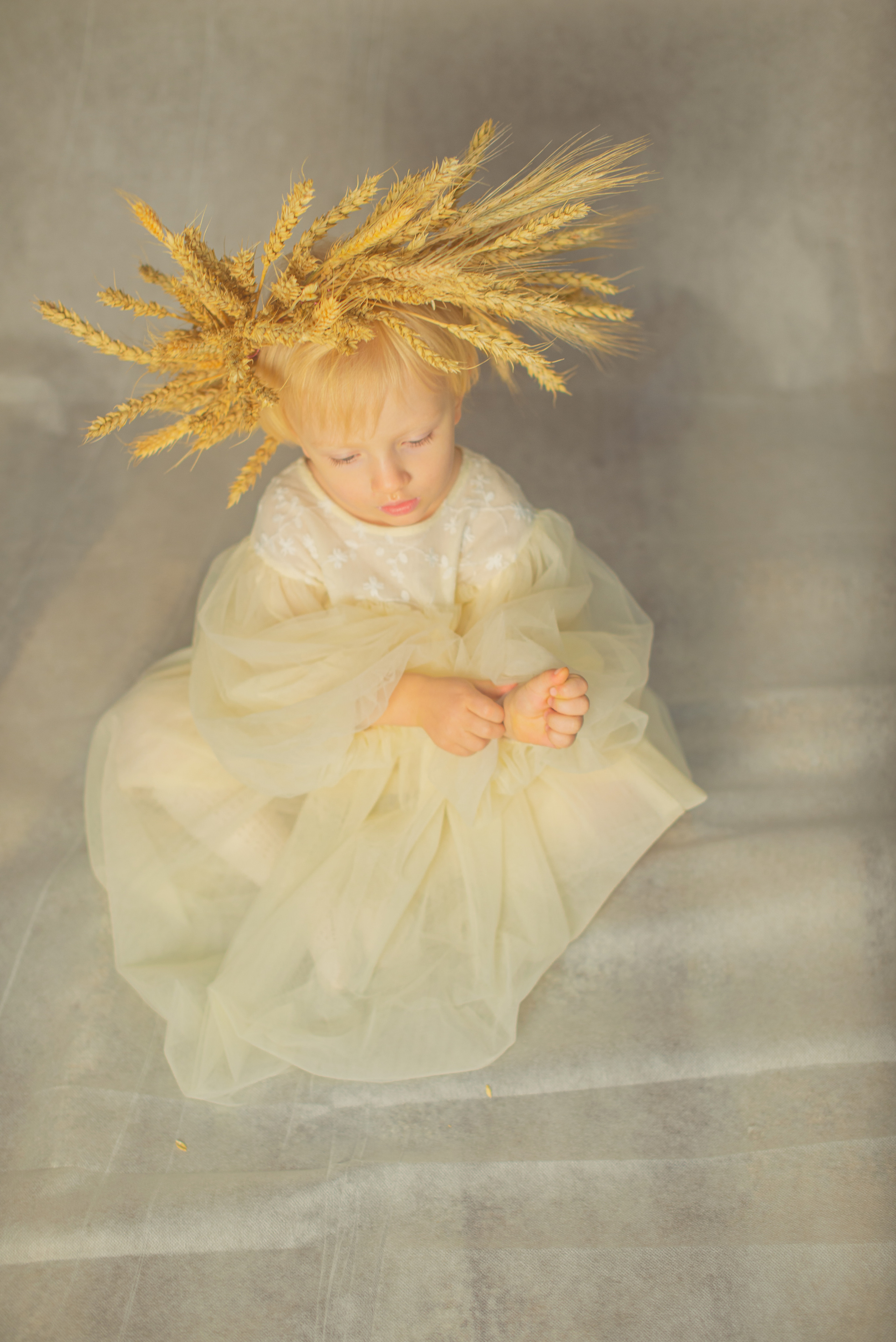 Пшеница. Чмарова Ксения, твой фотограф на все случаи жизни. Москва МО