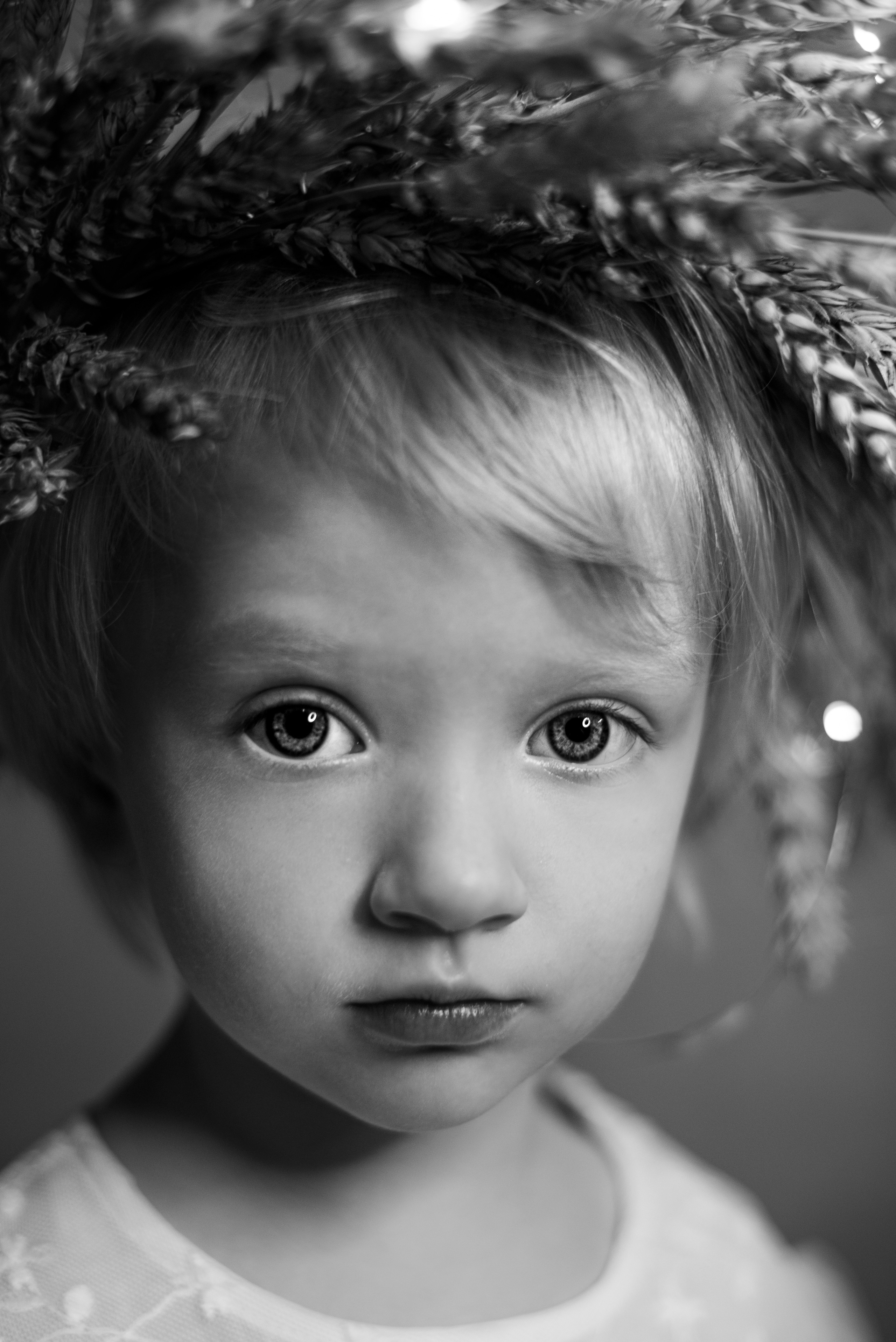 Пшеница. Чмарова Ксения, твой фотограф на все случаи жизни. Москва МО