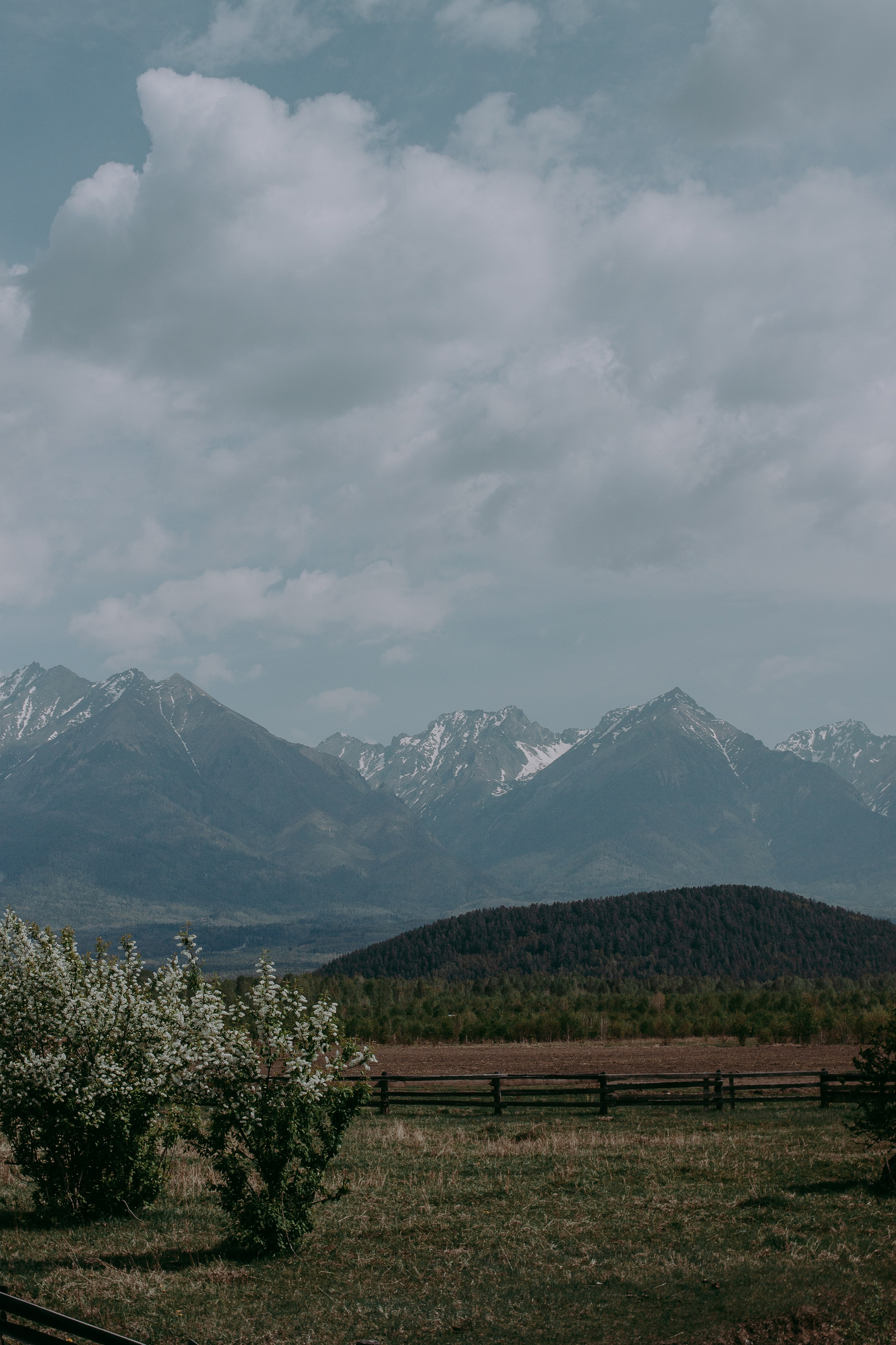 Ретрит на Байкале / Школа Ведических знаний SoVA / 7 дней, 2023. Борщевская Елизавета / фотограф Иркутск