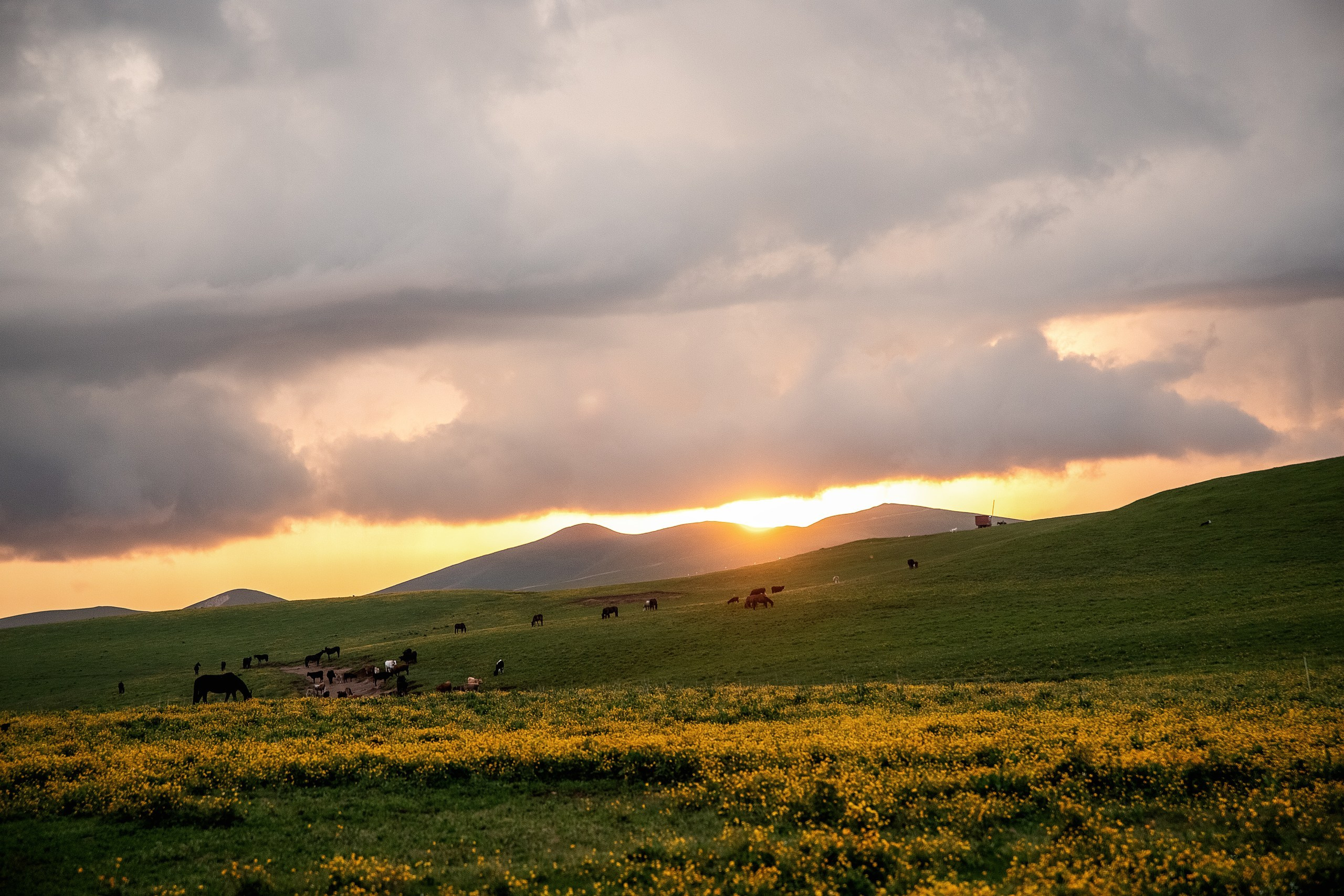 Плато Бийчесын. BrisArts