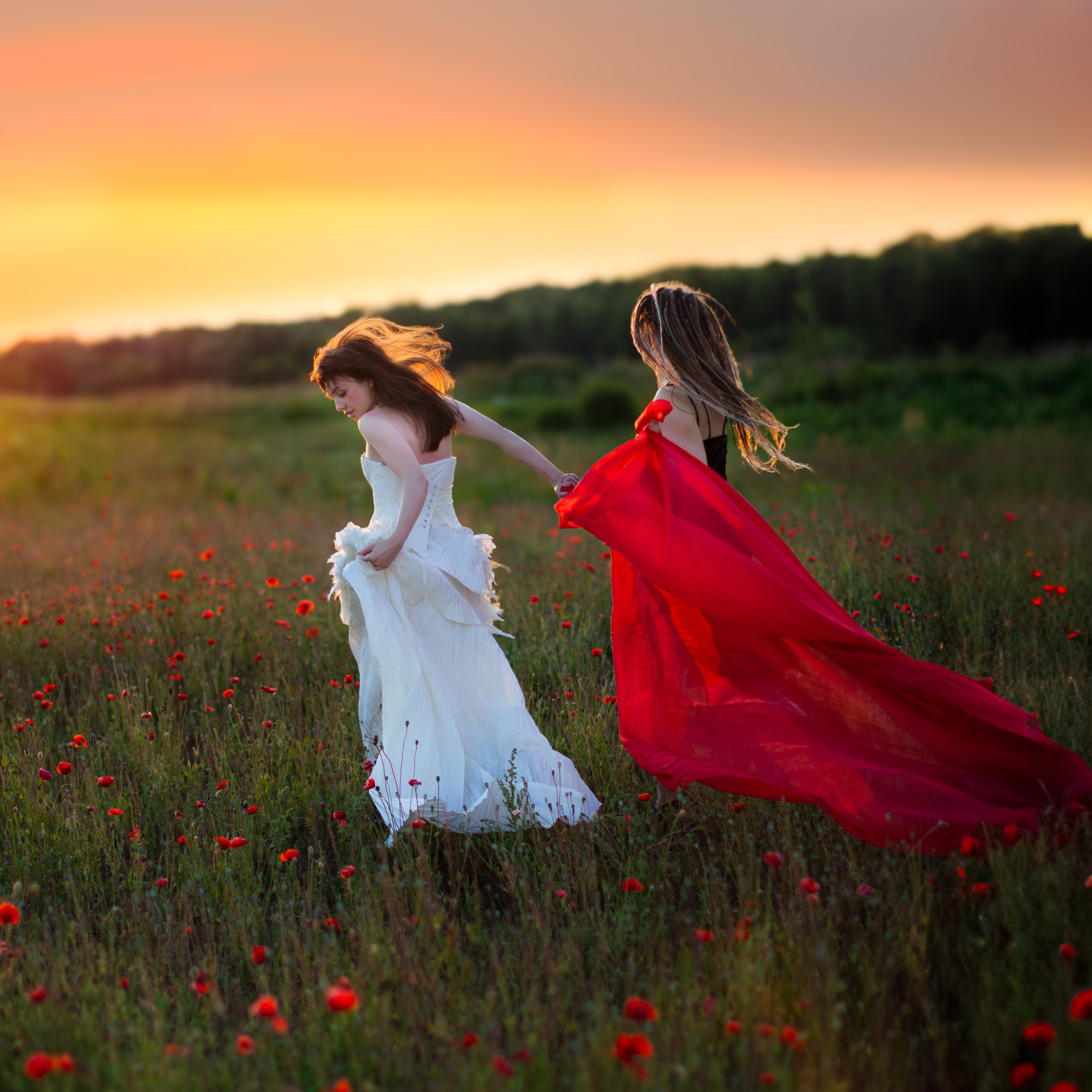 Портреты. Портретная и семейная съемка. Фотограф анималист