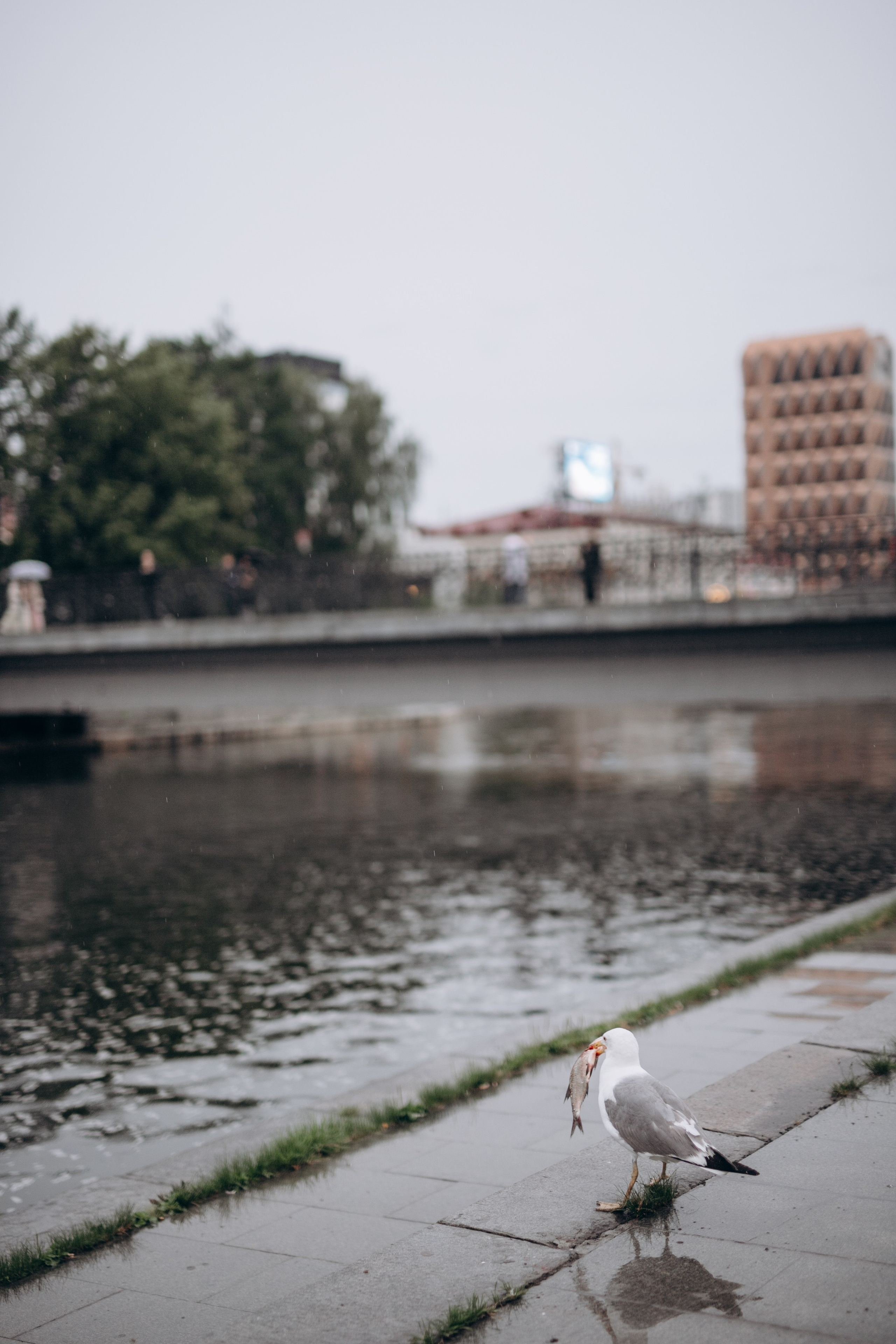 Марина. Фотограф Анастасия Петрова