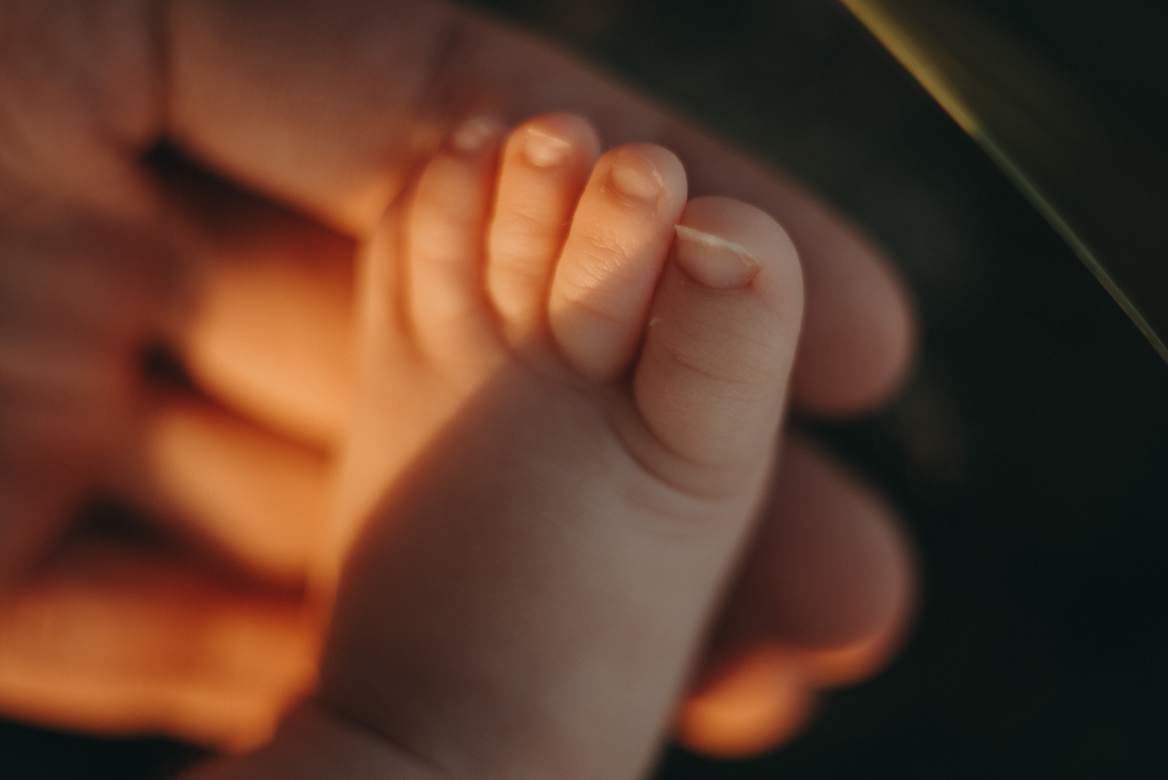 Аня. Фотограф новорожденных в стиле lifestyle в Воронеже Юлия Ключникова