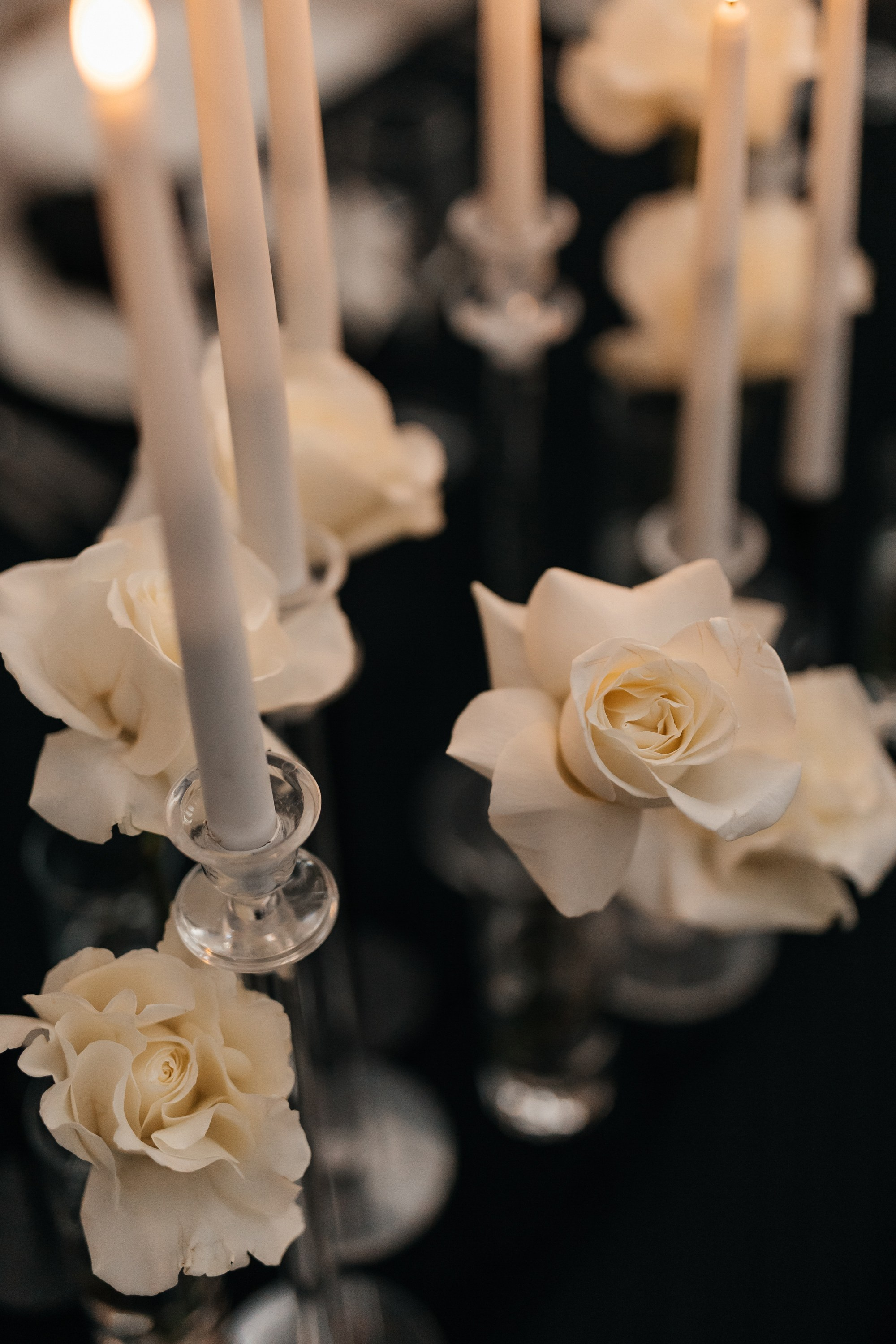 D&S. Фотограф Таганрог Хребет София