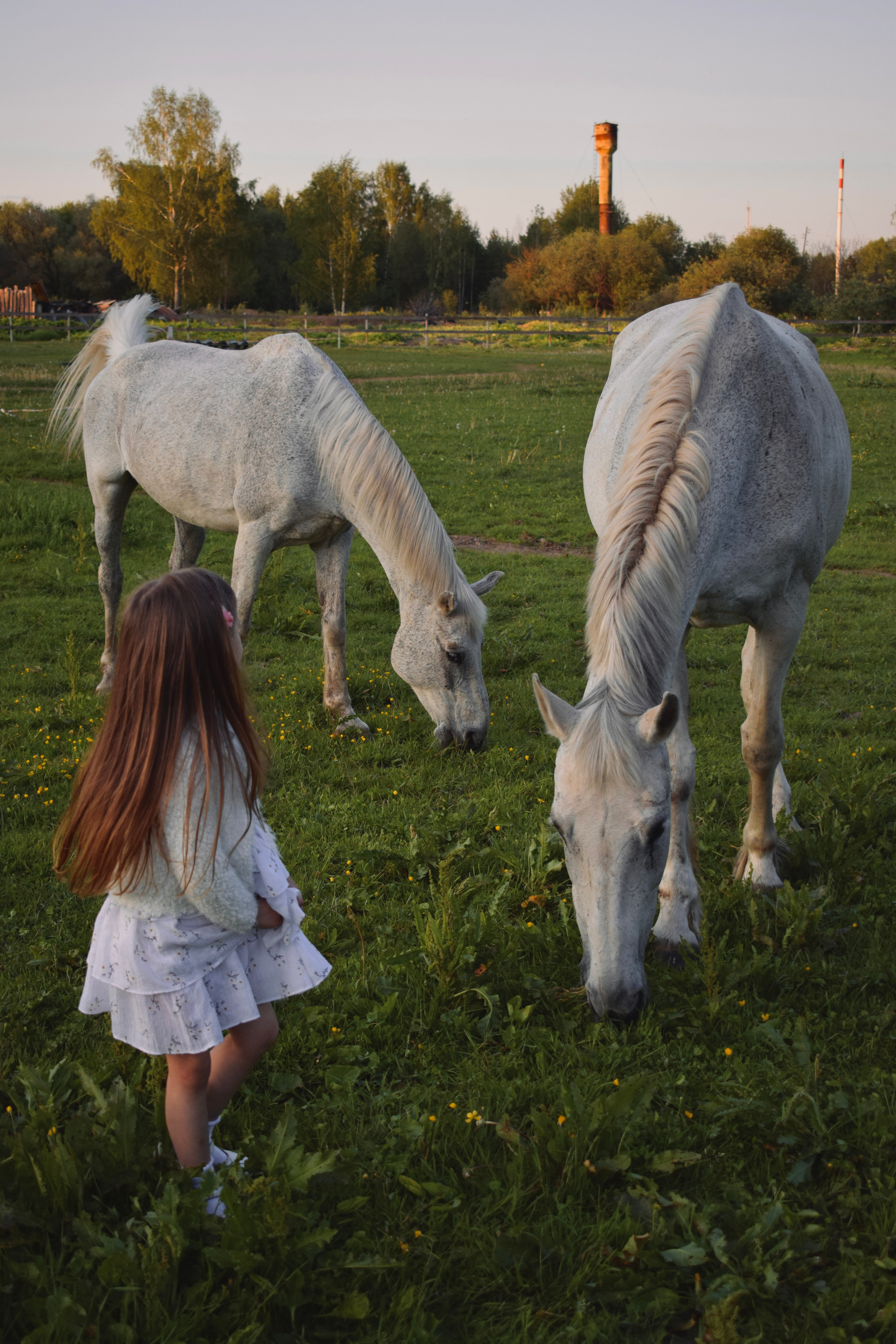 ФОТОГРАФ LAV.PHOTO ЛЕВИНА АЛЁНА ДМИТРОВ