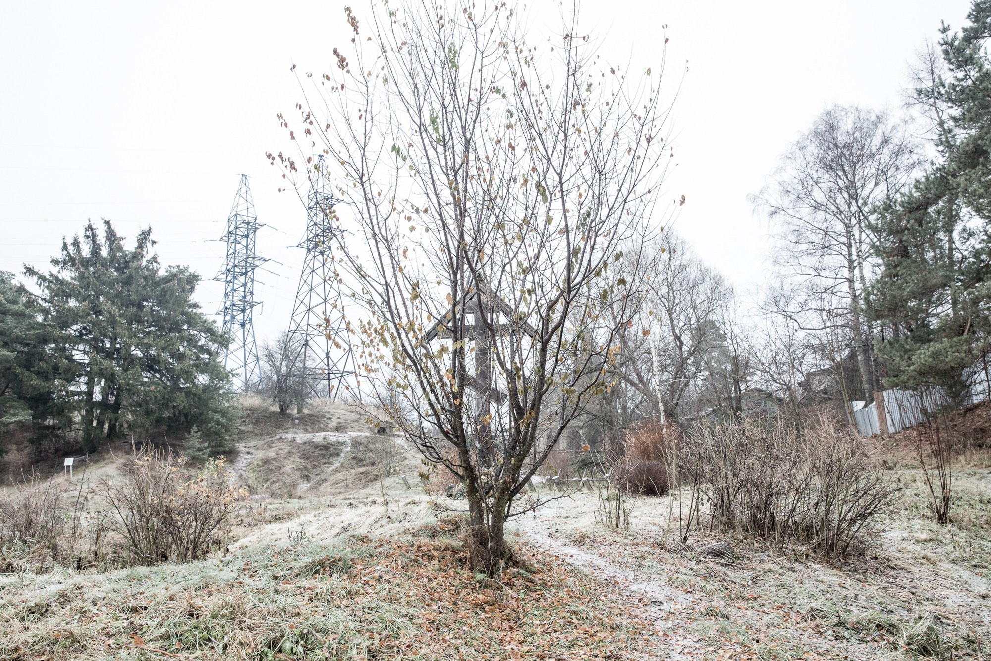 Мы прорастем травой. Yulia Nevskaya, documentary photographer and photojournalist