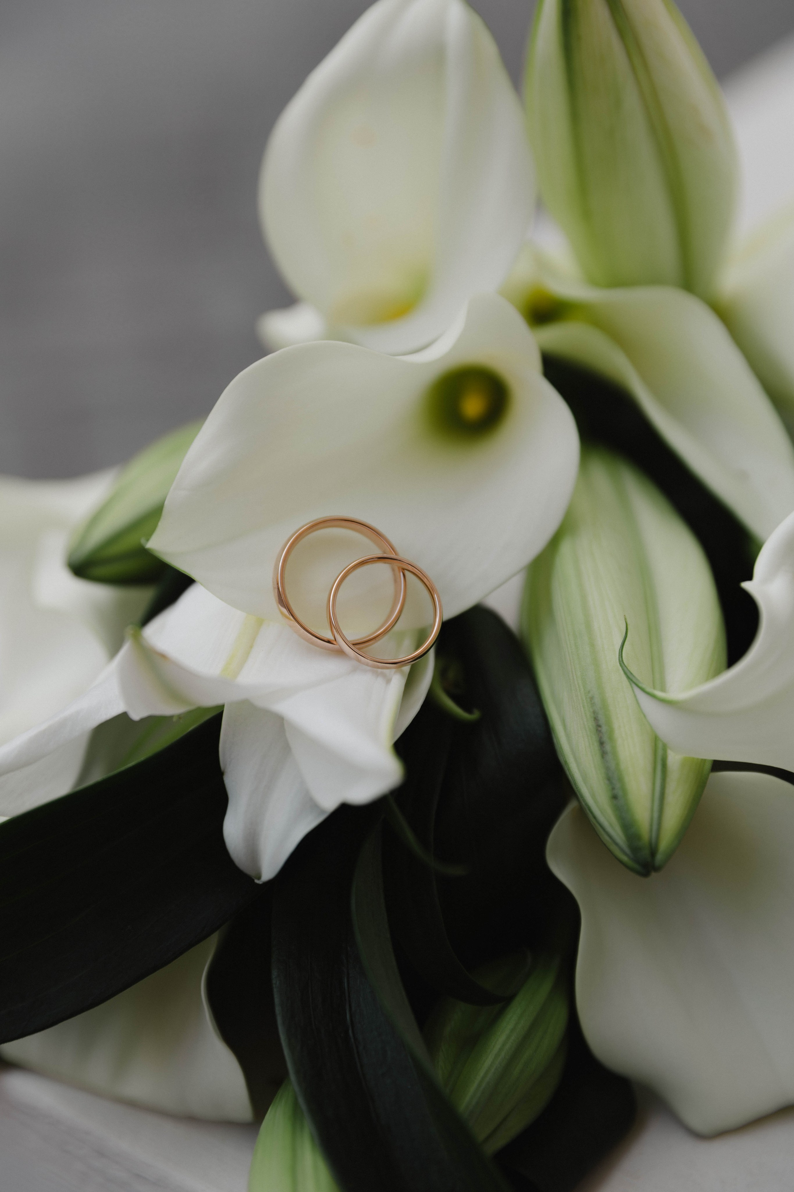 Семейный и свадебный фотограф Нижний Новгород