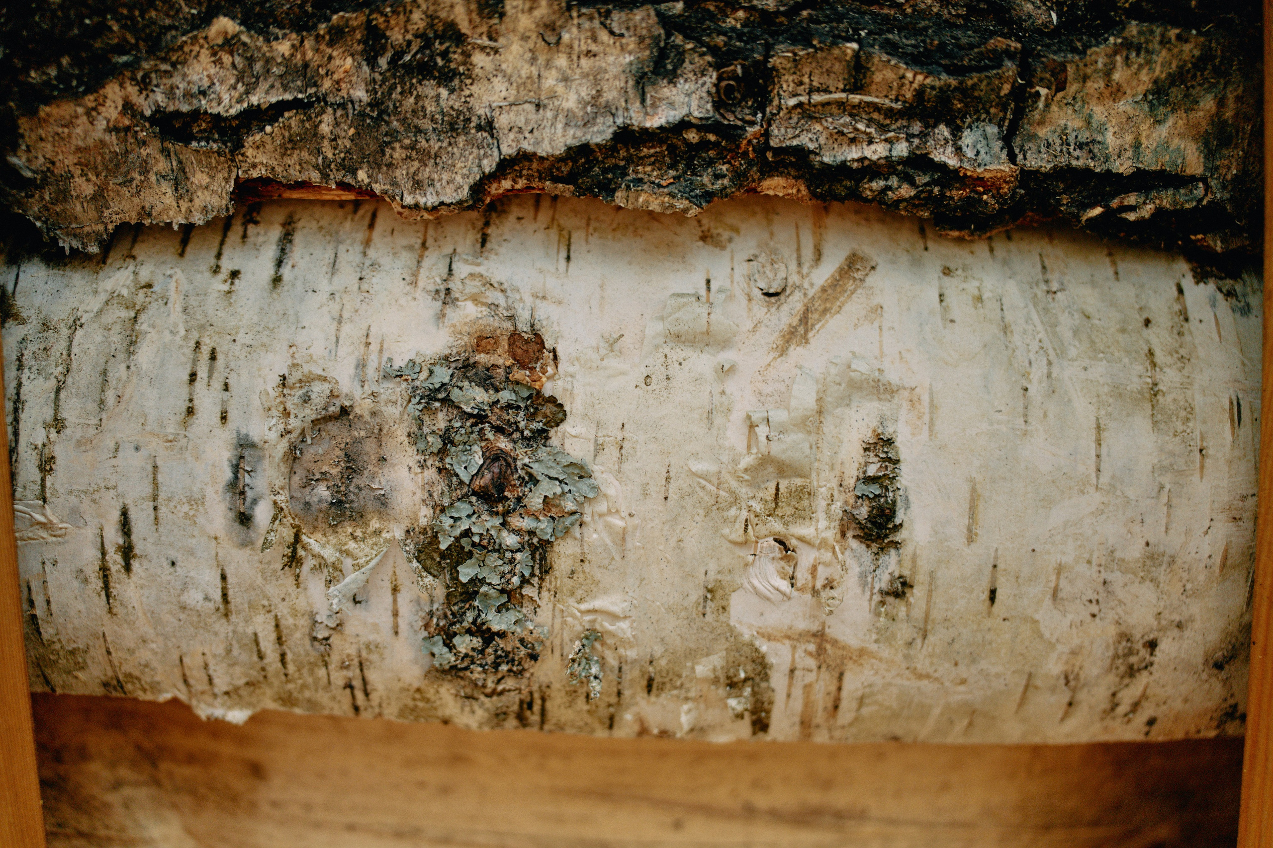 Бутик-отель Поле летом. Профессиональный Фотограф во Владимире, в Москве и в Суздале — Полина Романычева