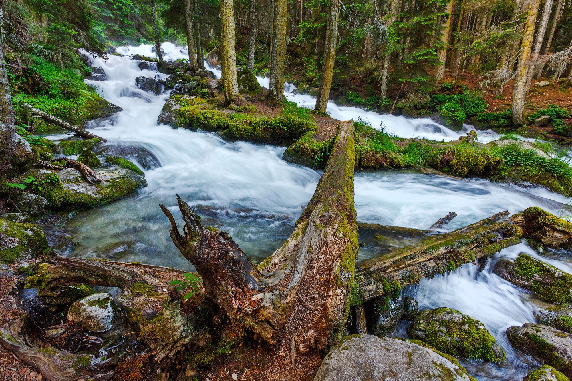 Свадебный фотограф в Геленджике